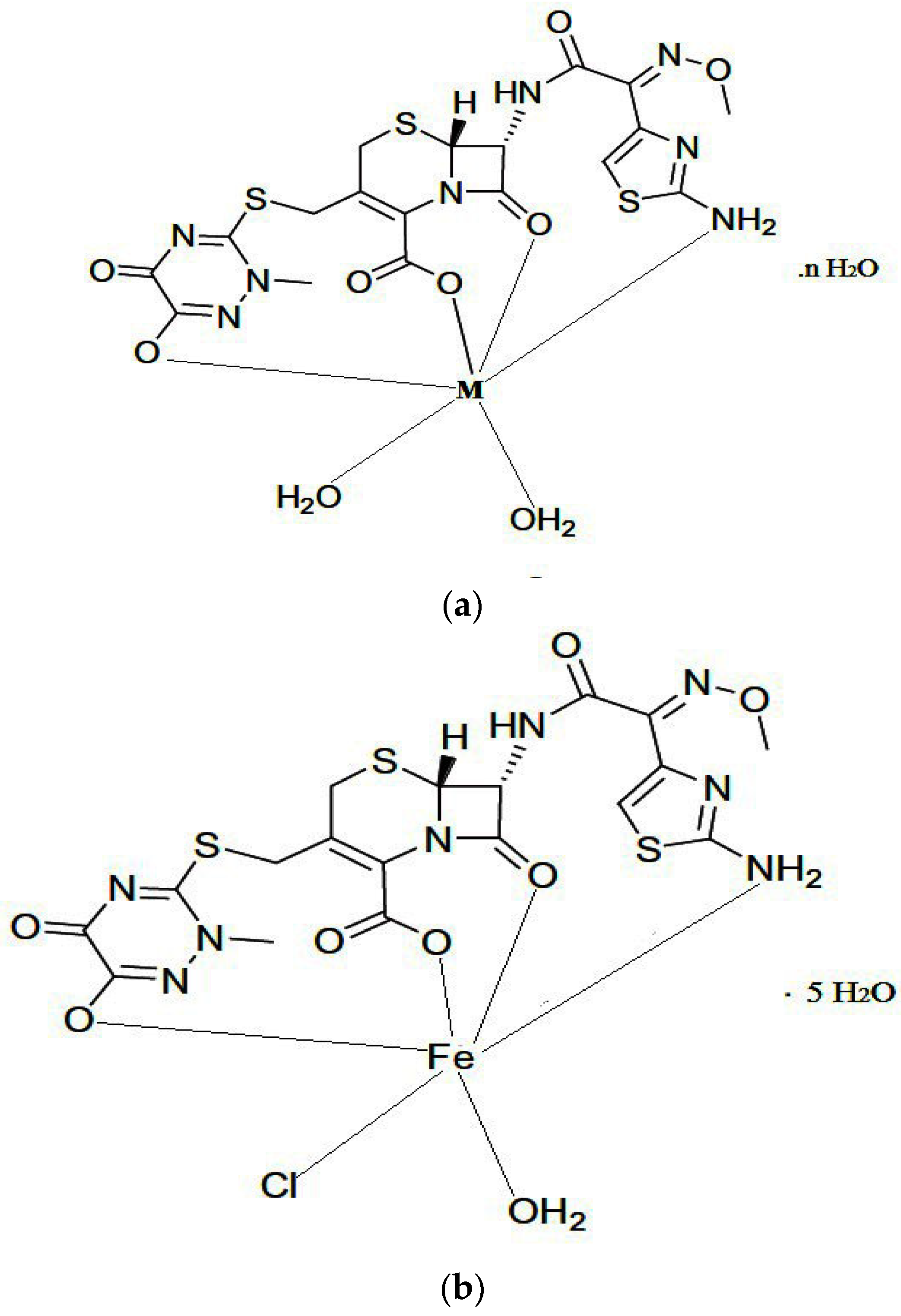 Antibiotics 11 00547 g004a Antibiotics 11 00547 g004a