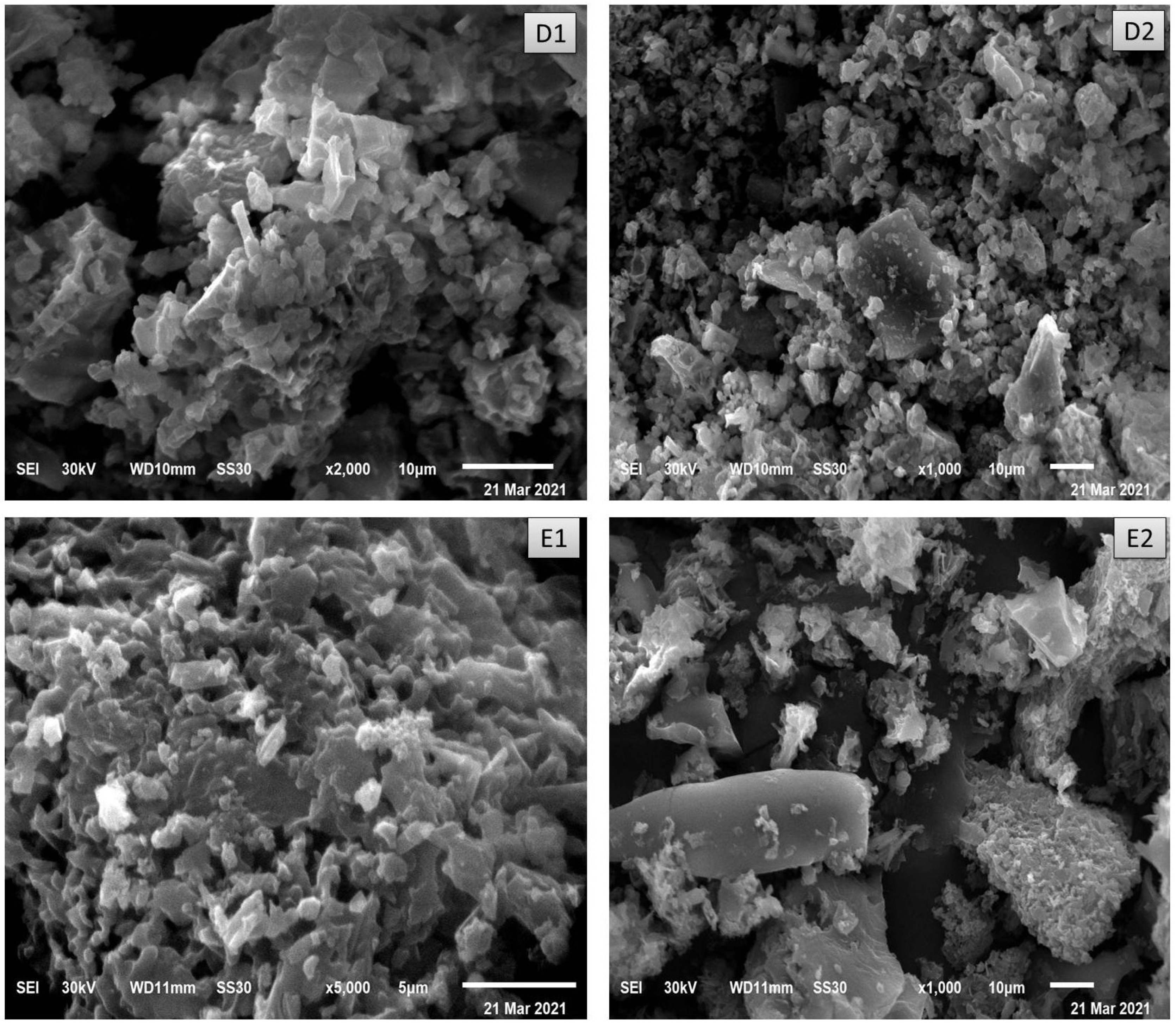 Antibiotics 11 00547 g006b Antibiotics 11 00547 g006b