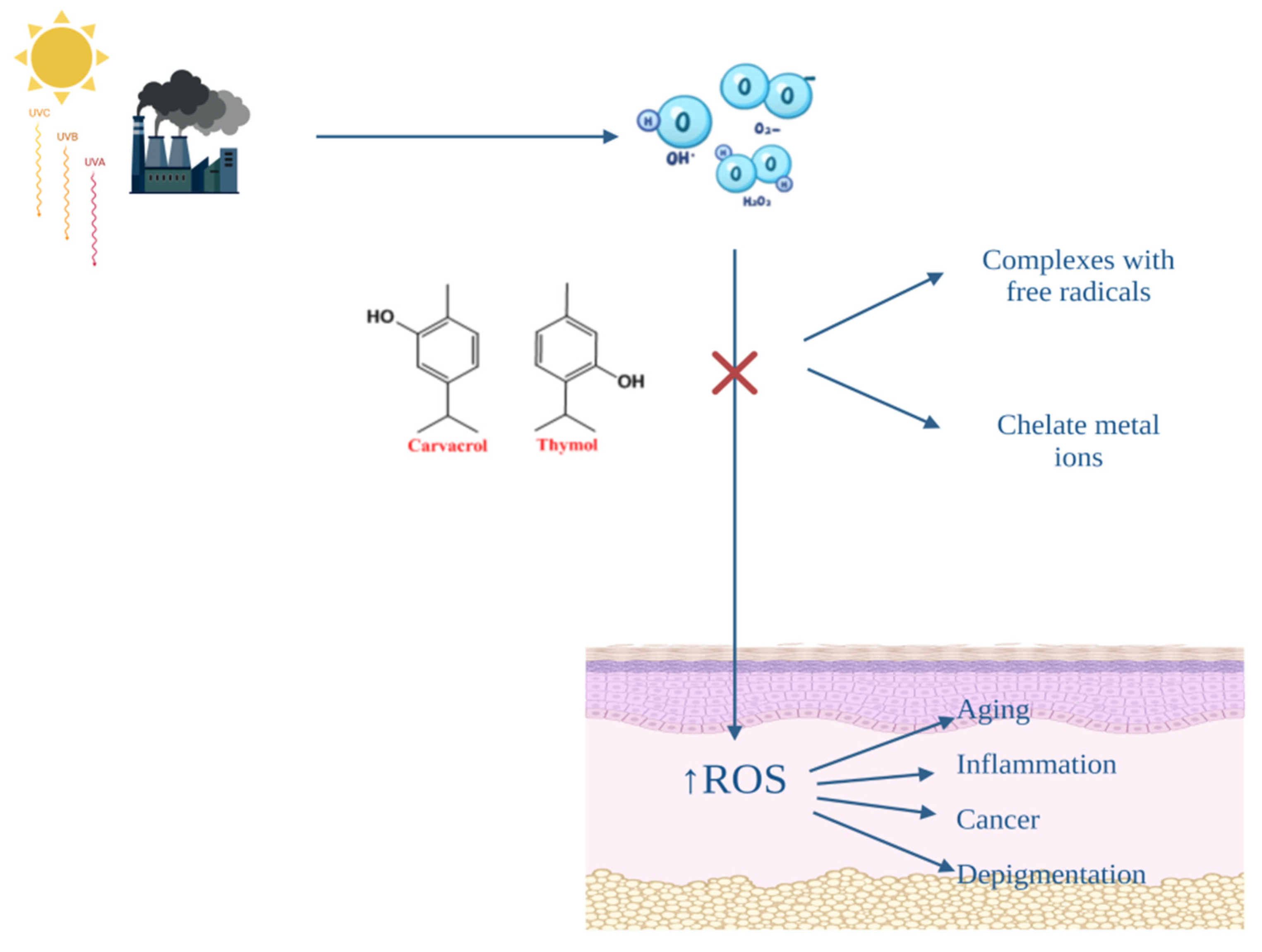 Antibiotics 11 00549 g004