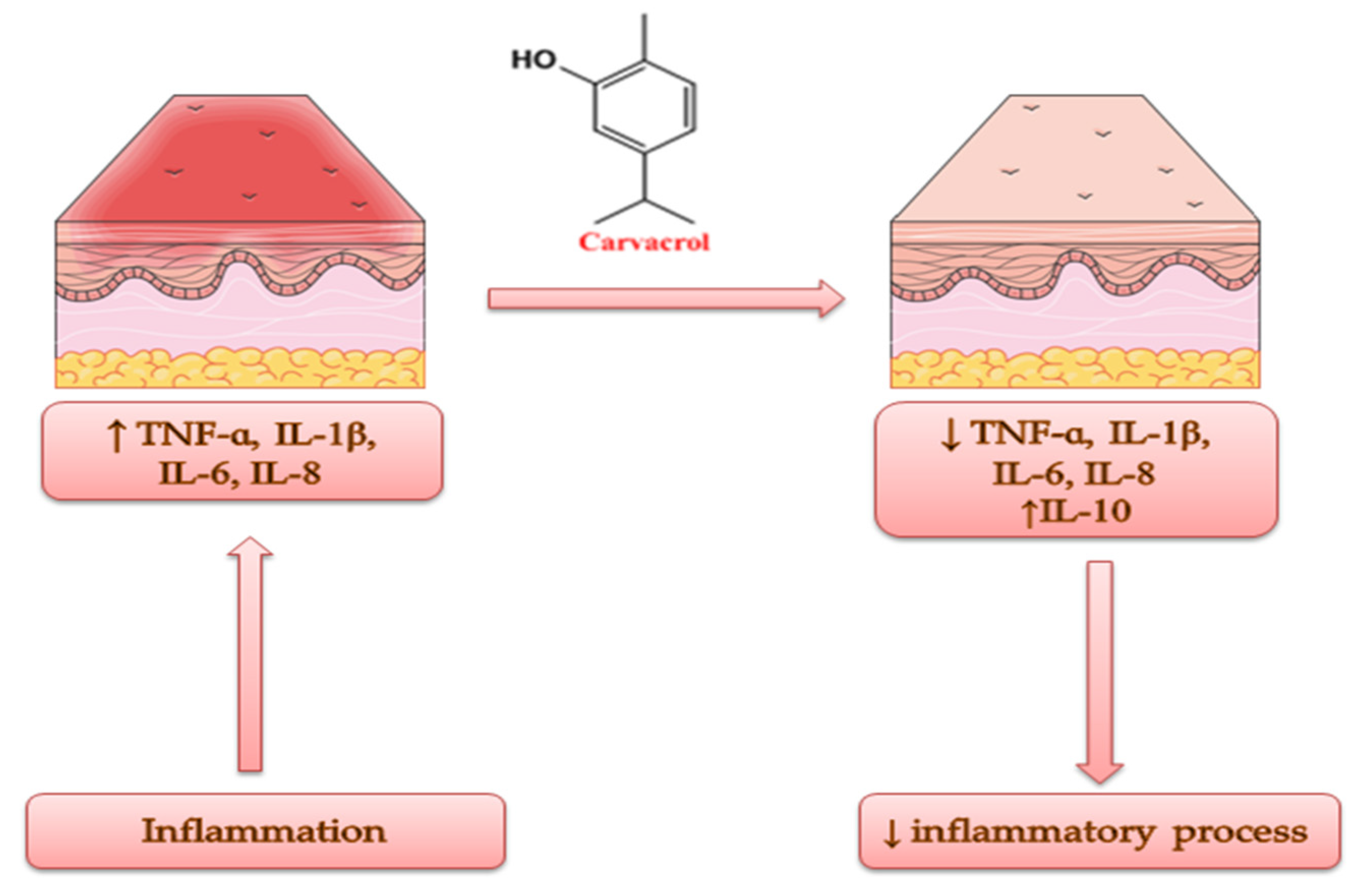 Antibiotics 11 00549 g005
