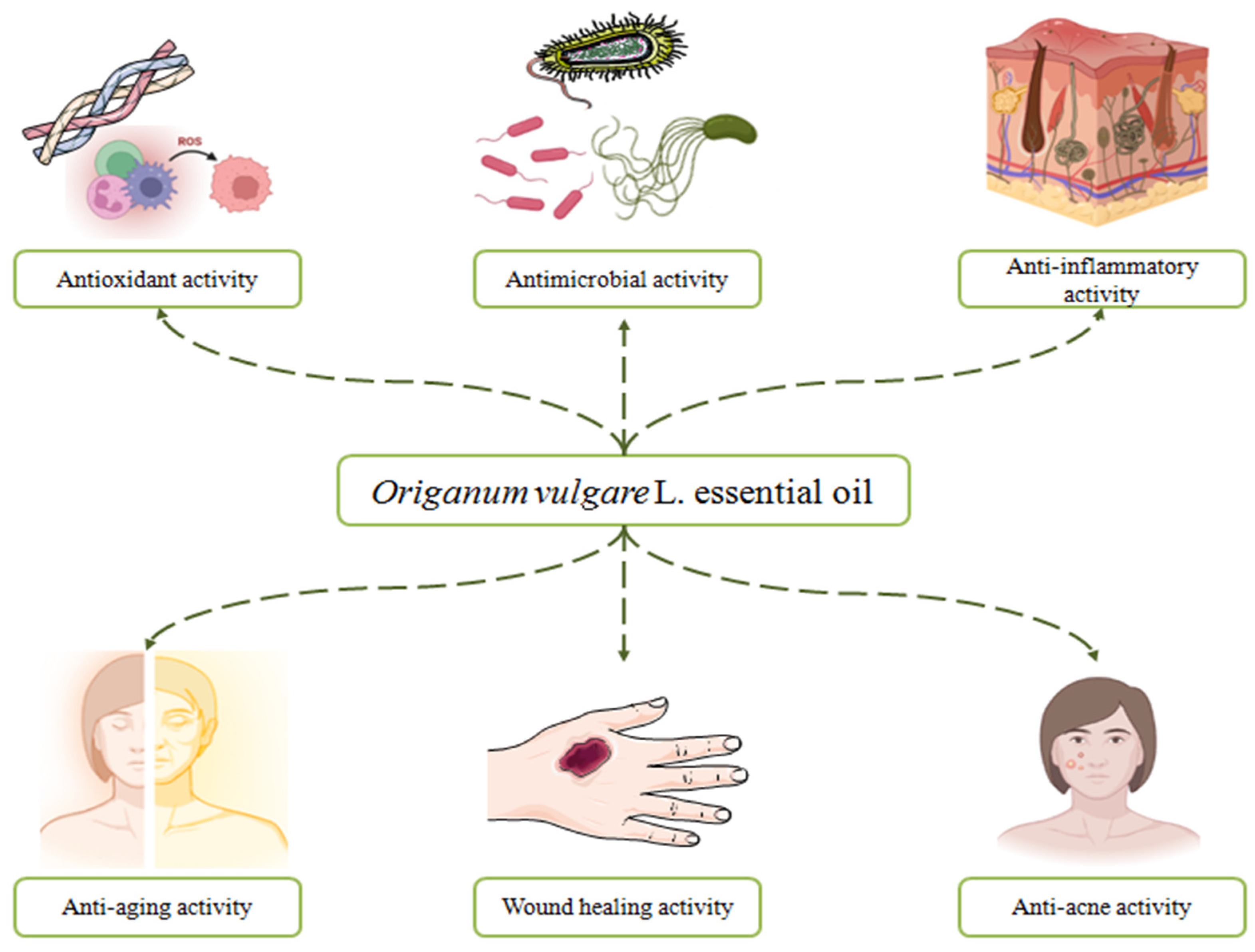 Antibiotics 11 00549 g009
