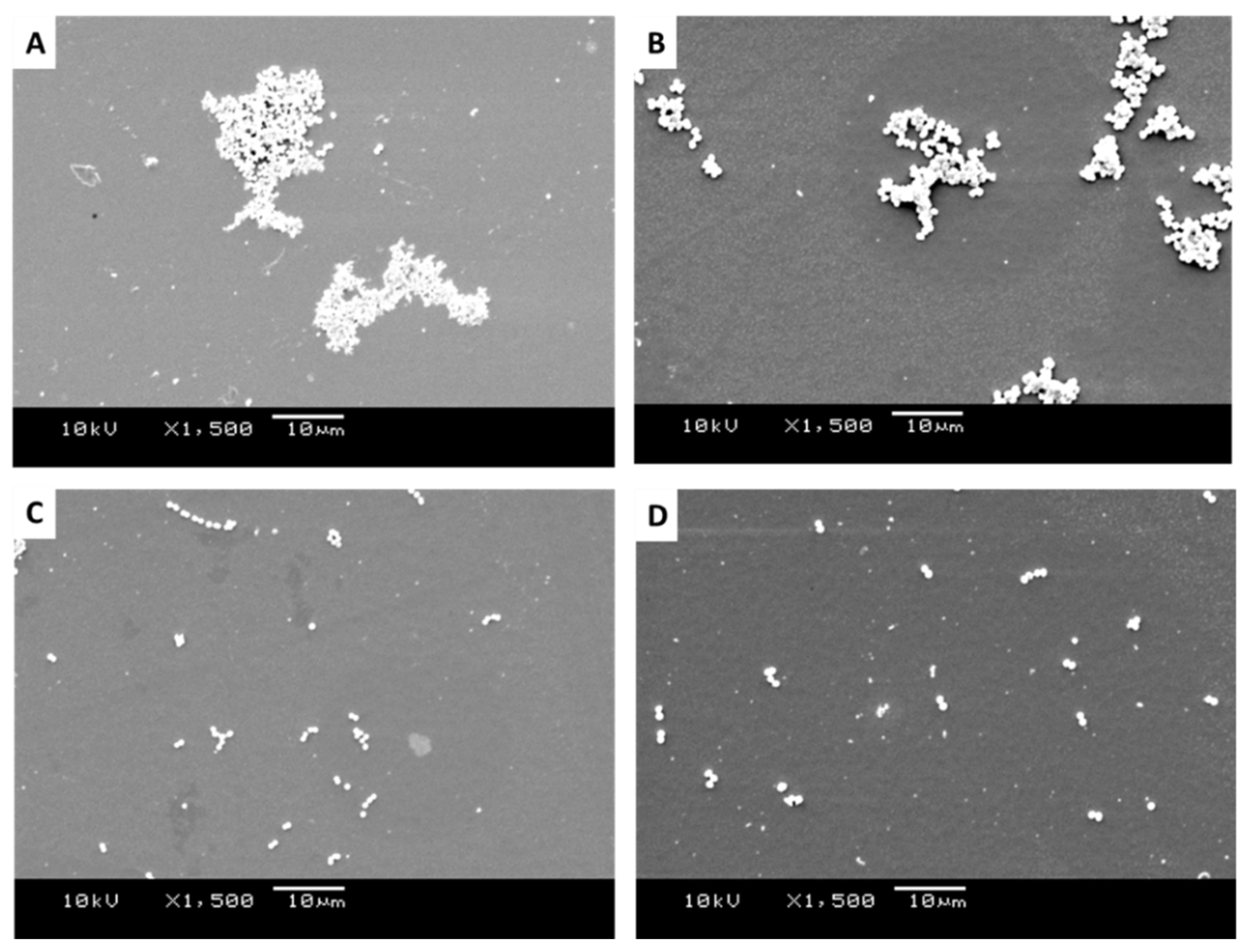 Antibiotics 11 00551 g007