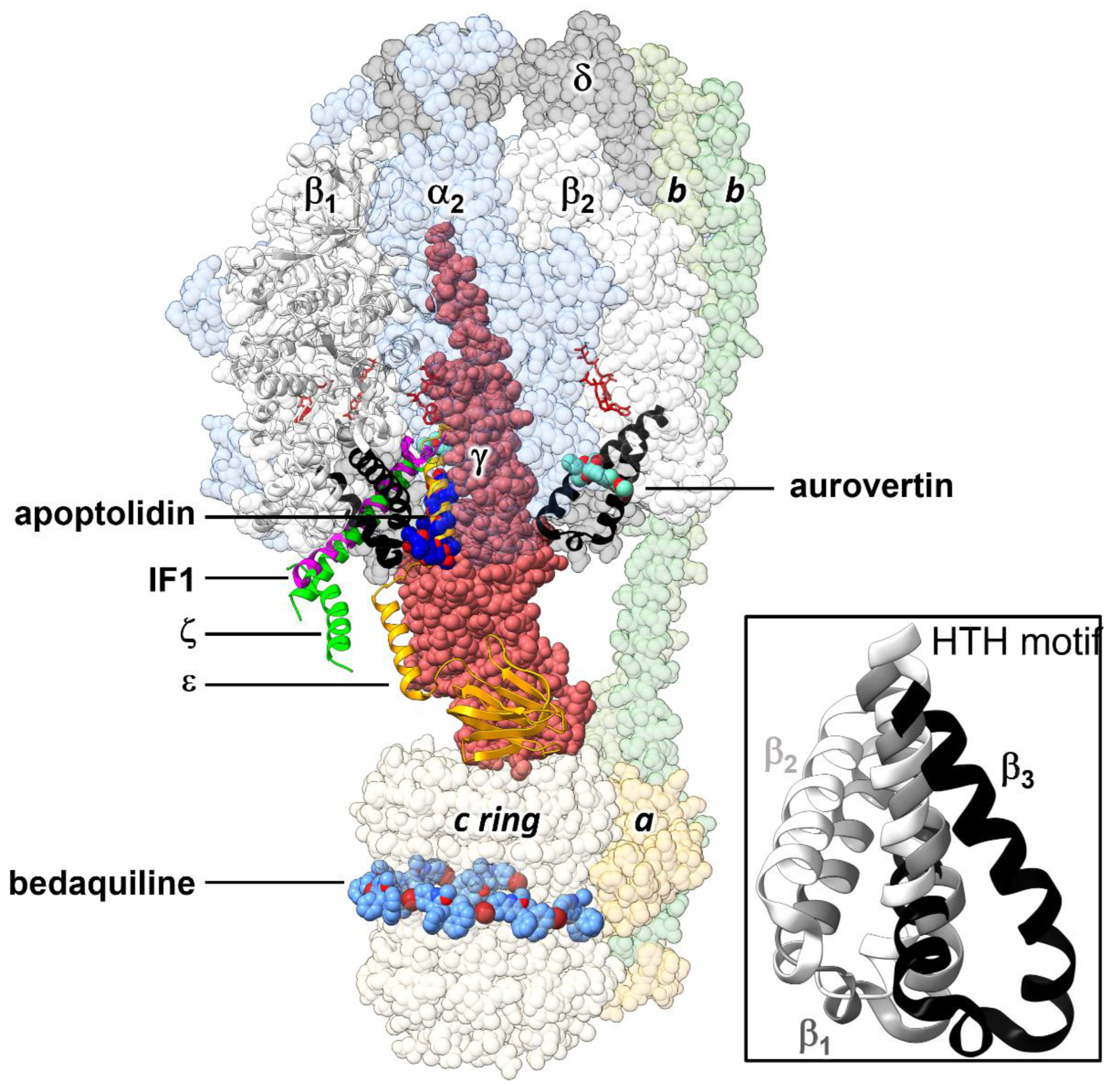 Antibiotics 11 00557 g001