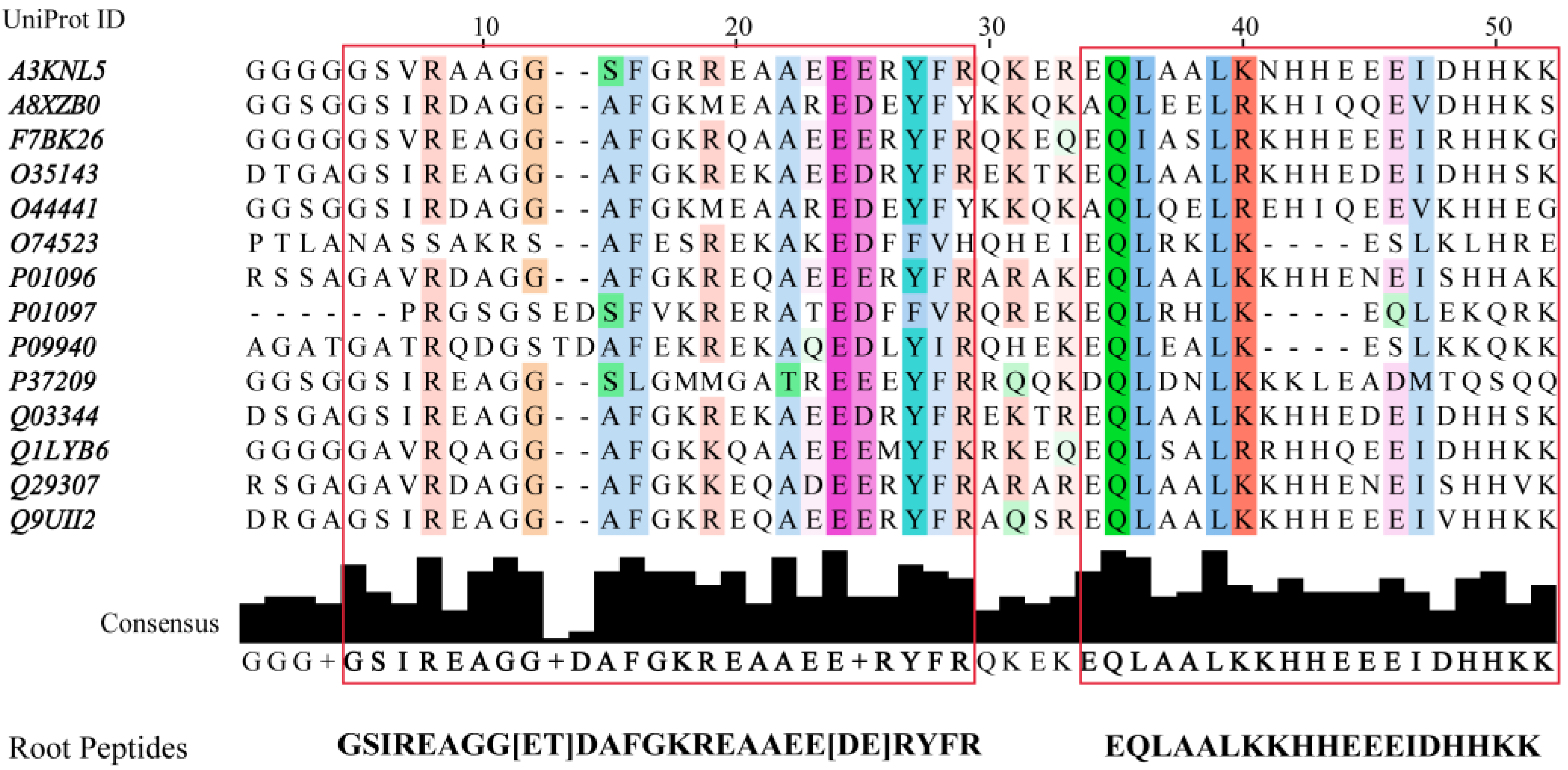 Antibiotics 11 00557 g004
