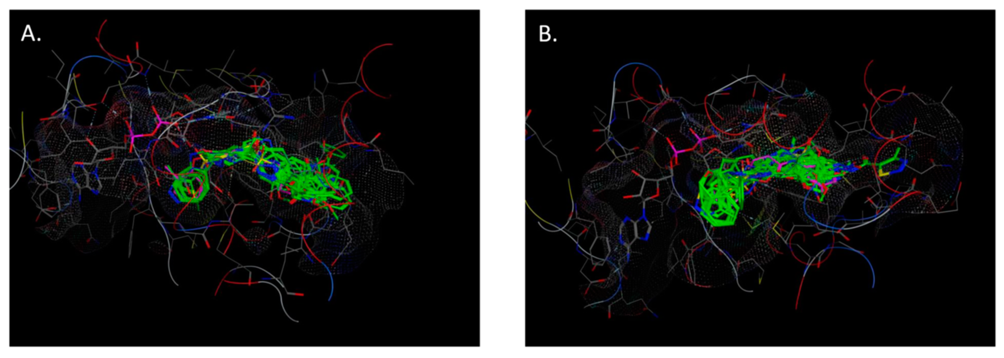 Antibiotics 11 00562 g005 550
