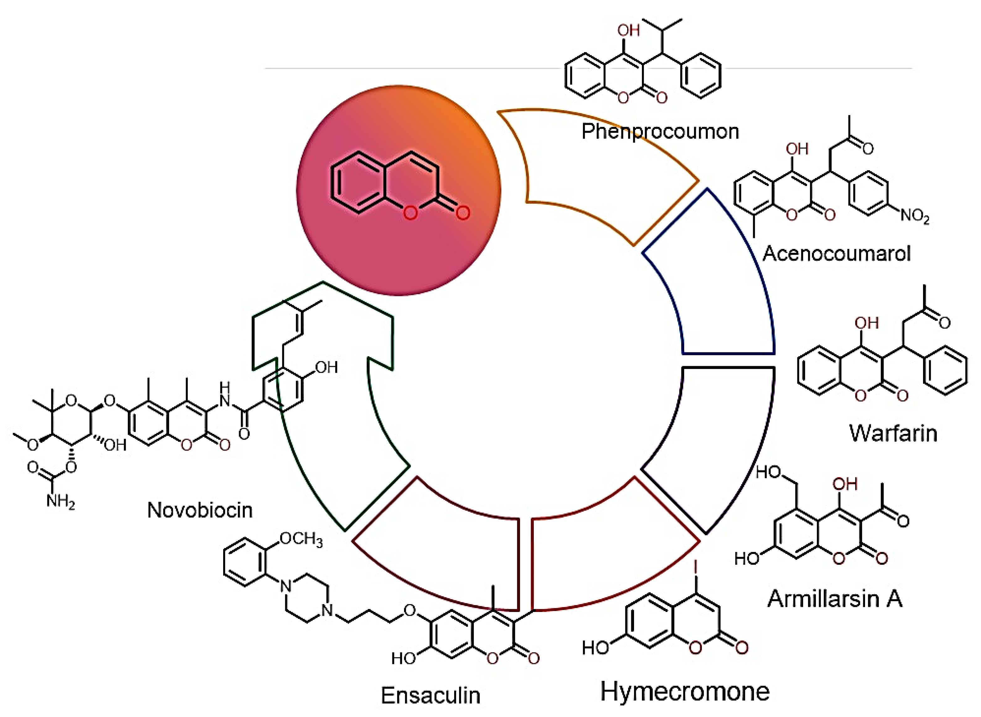 Antibiotics 11 00566 g001