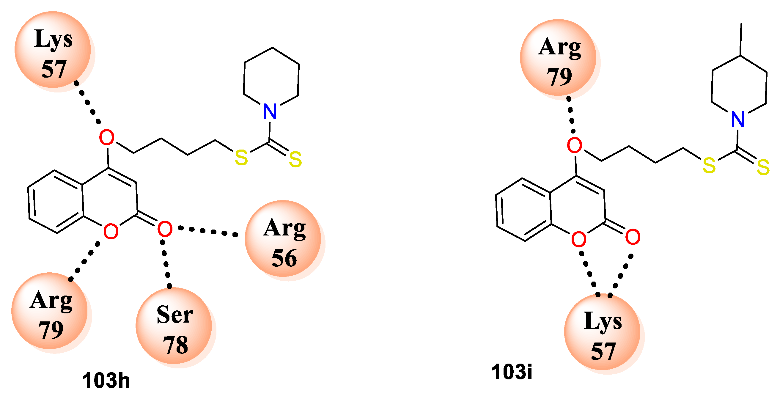 Antibiotics 11 00566 g008