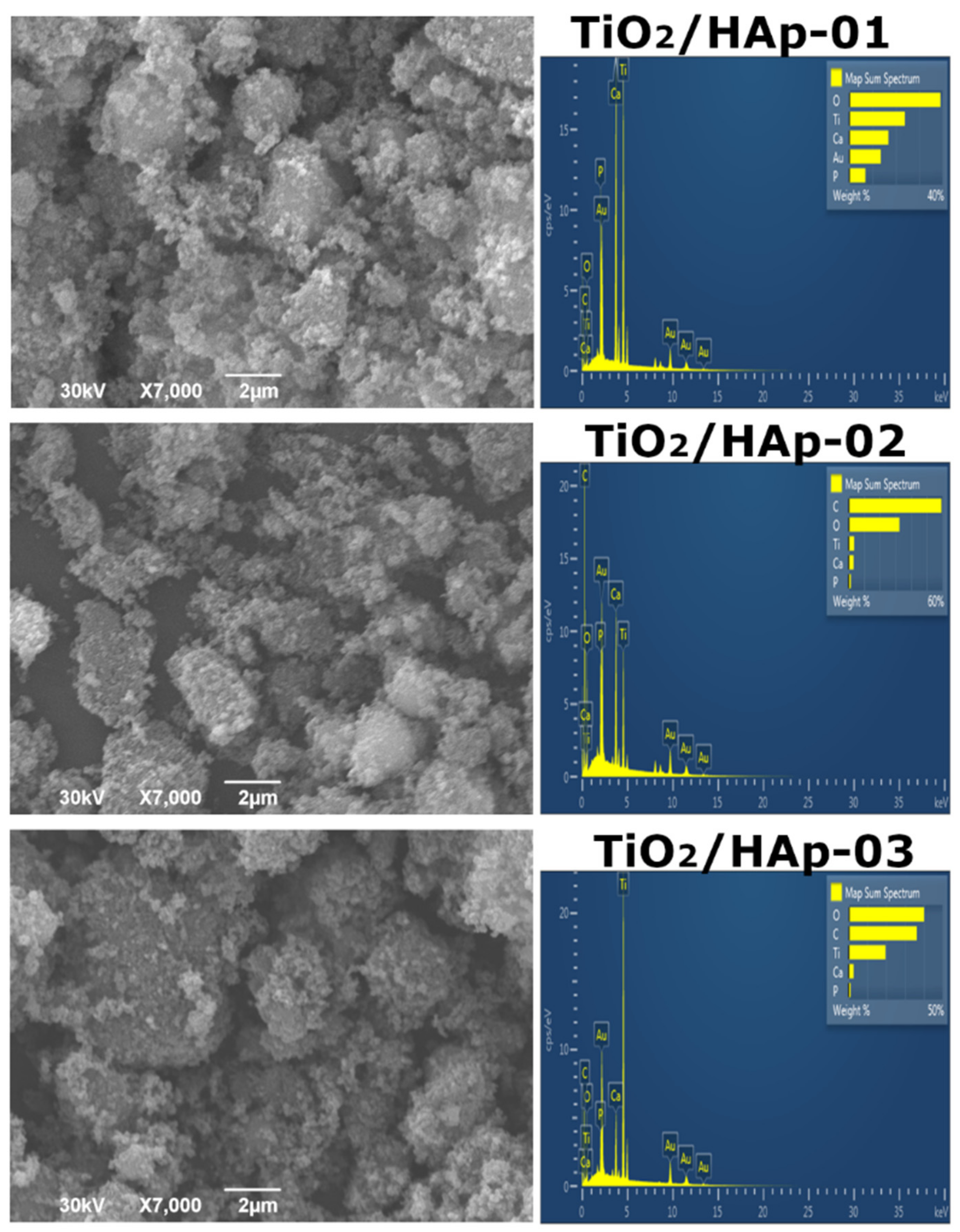 Antibiotics 11 00592 g004 550