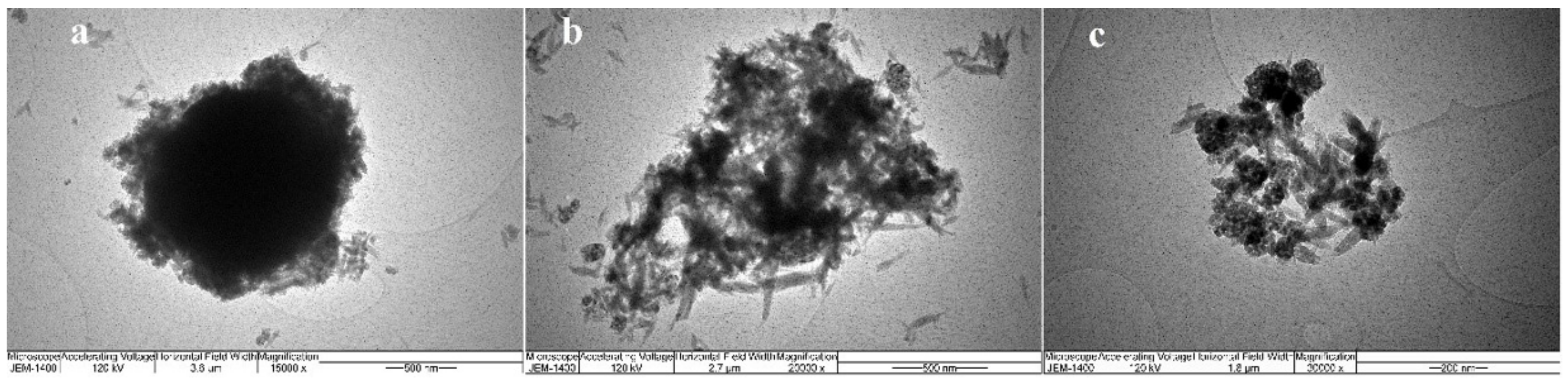 Antibiotics 11 00592 g005 550