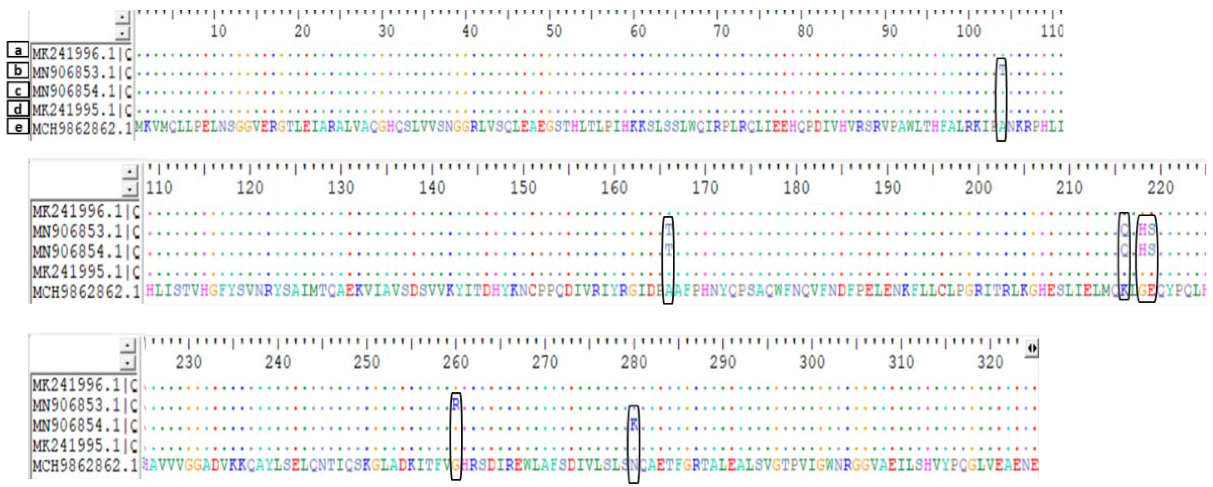 Antibiotics 11 00594 g001 Antibiotics 11 00594 g001