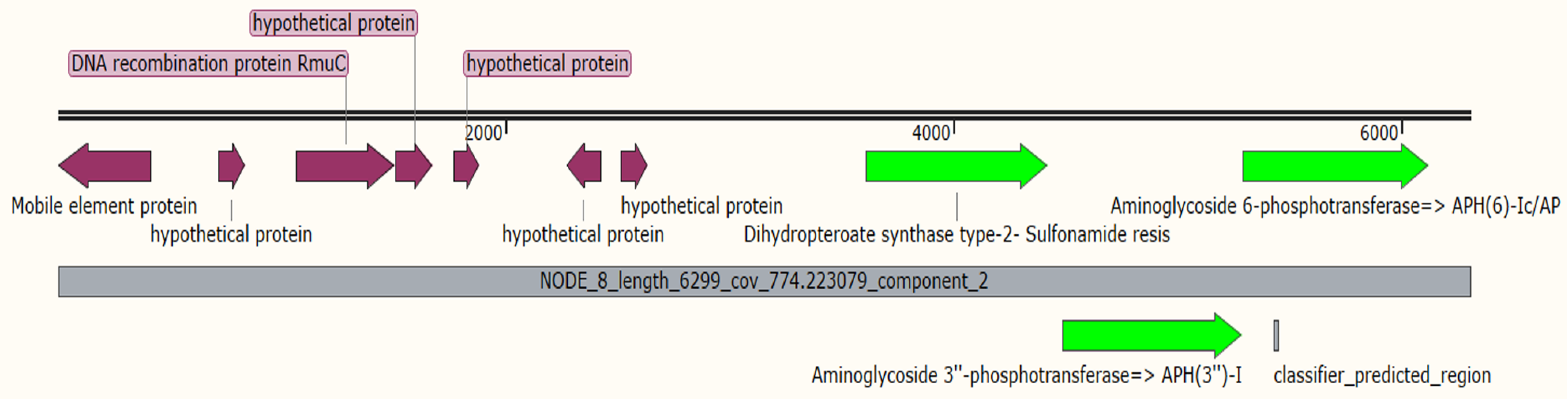 Antibiotics 11 00596 g001
