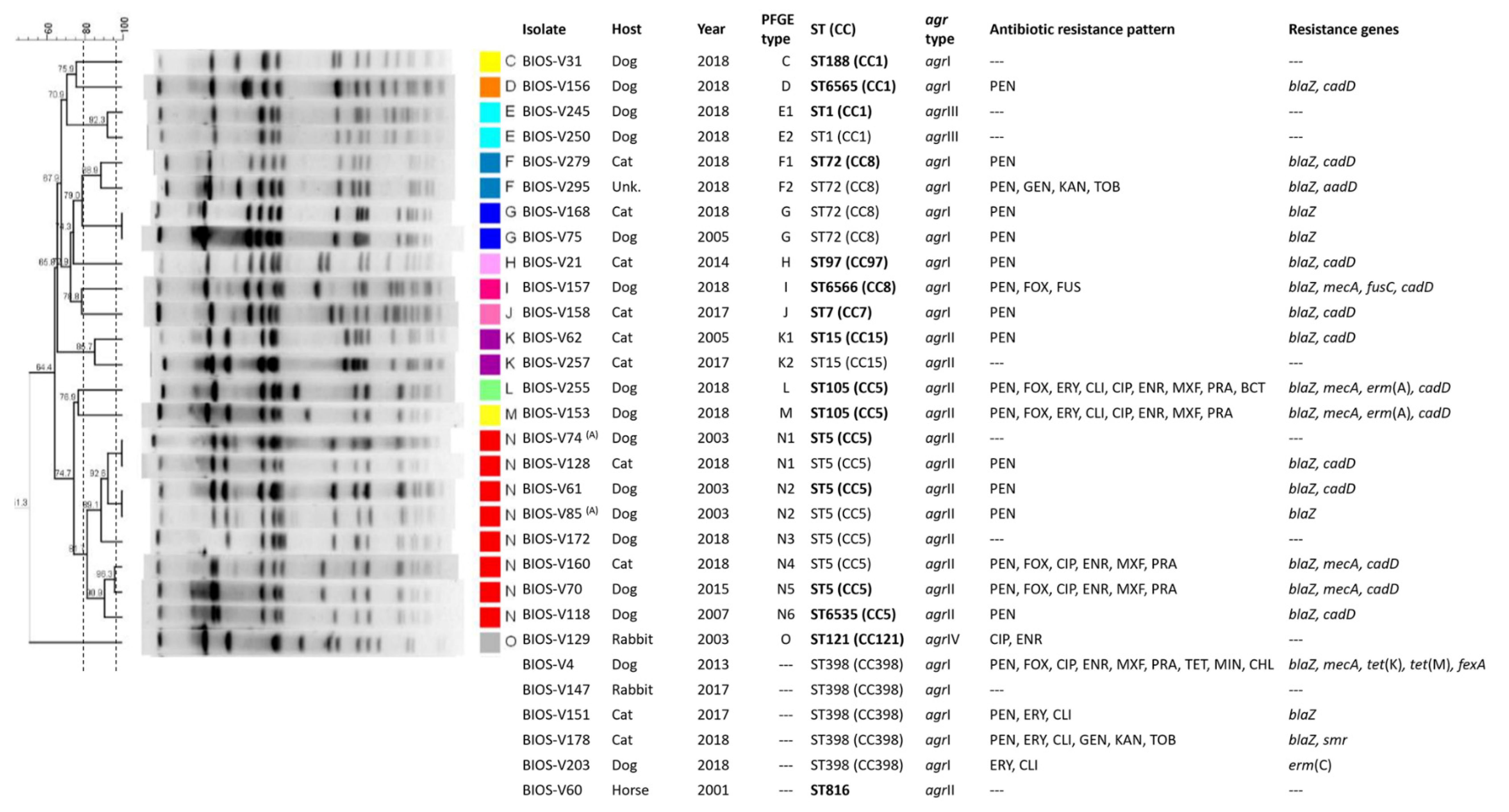 Antibiotics 11 00599 g002b Antibiotics 11 00599 g002b