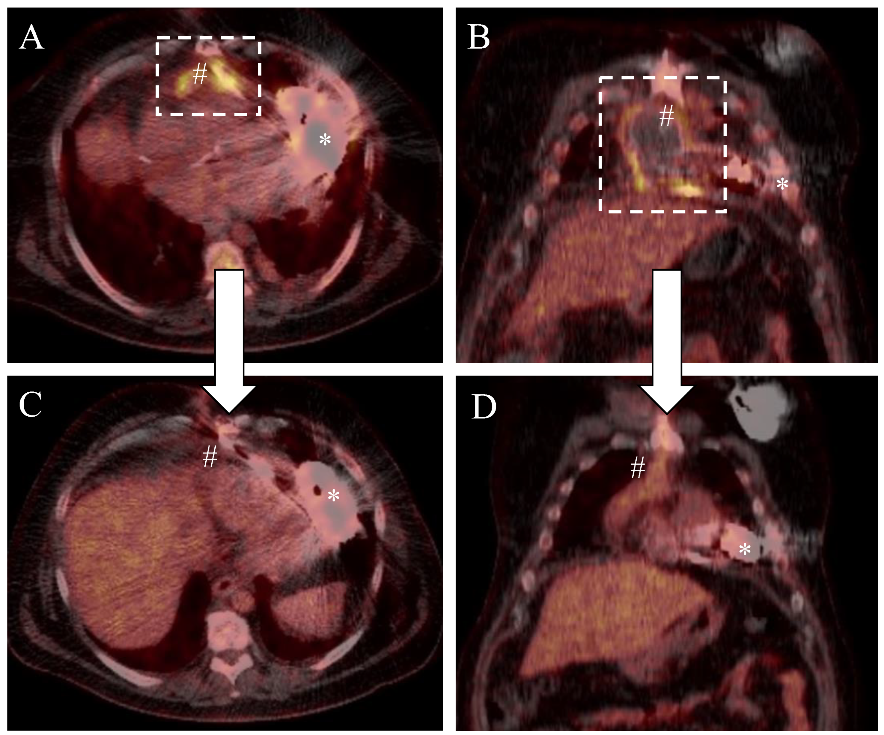Antibiotics 11 00602 g001