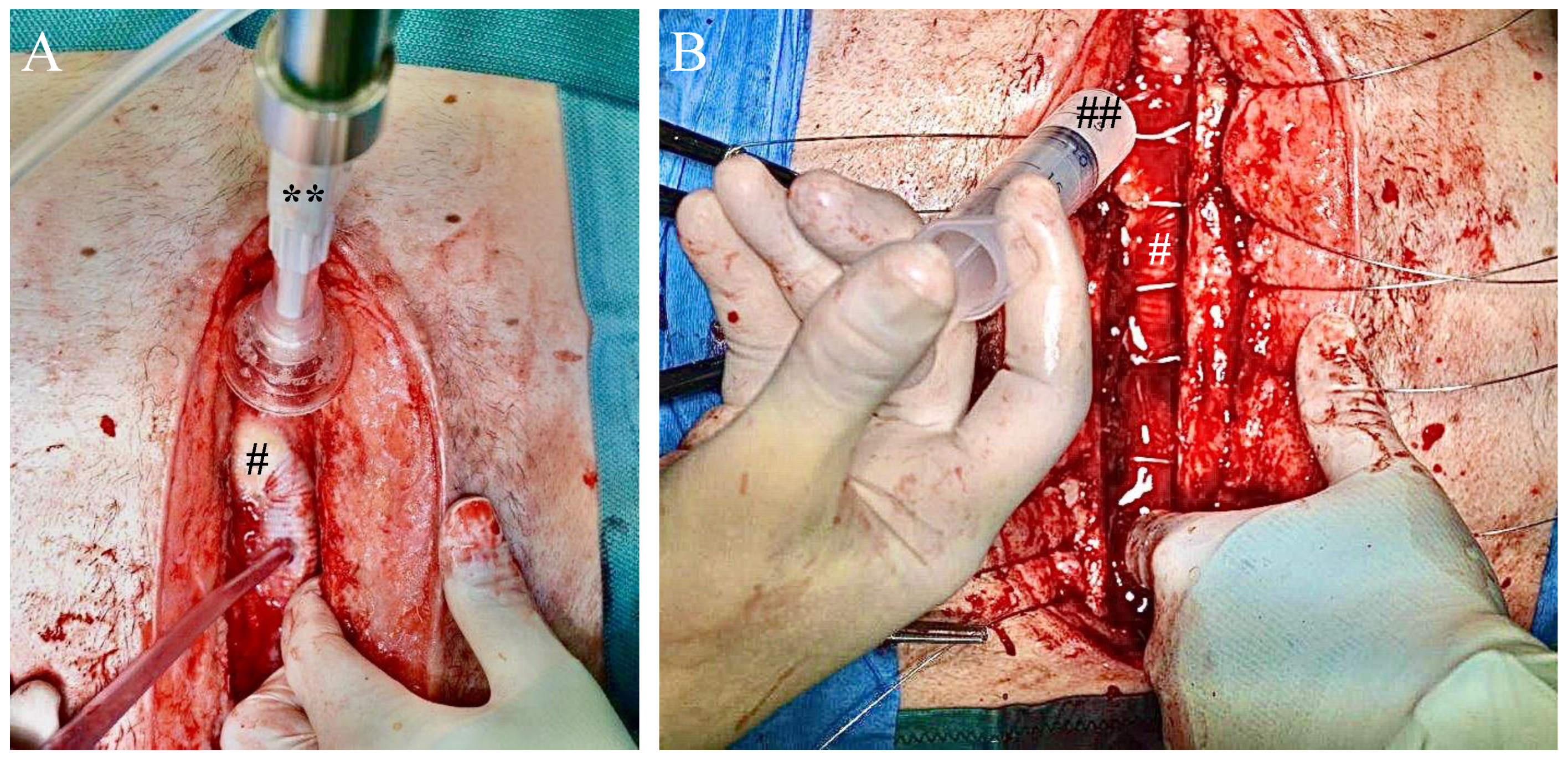 Antibiotics 11 00602 g002