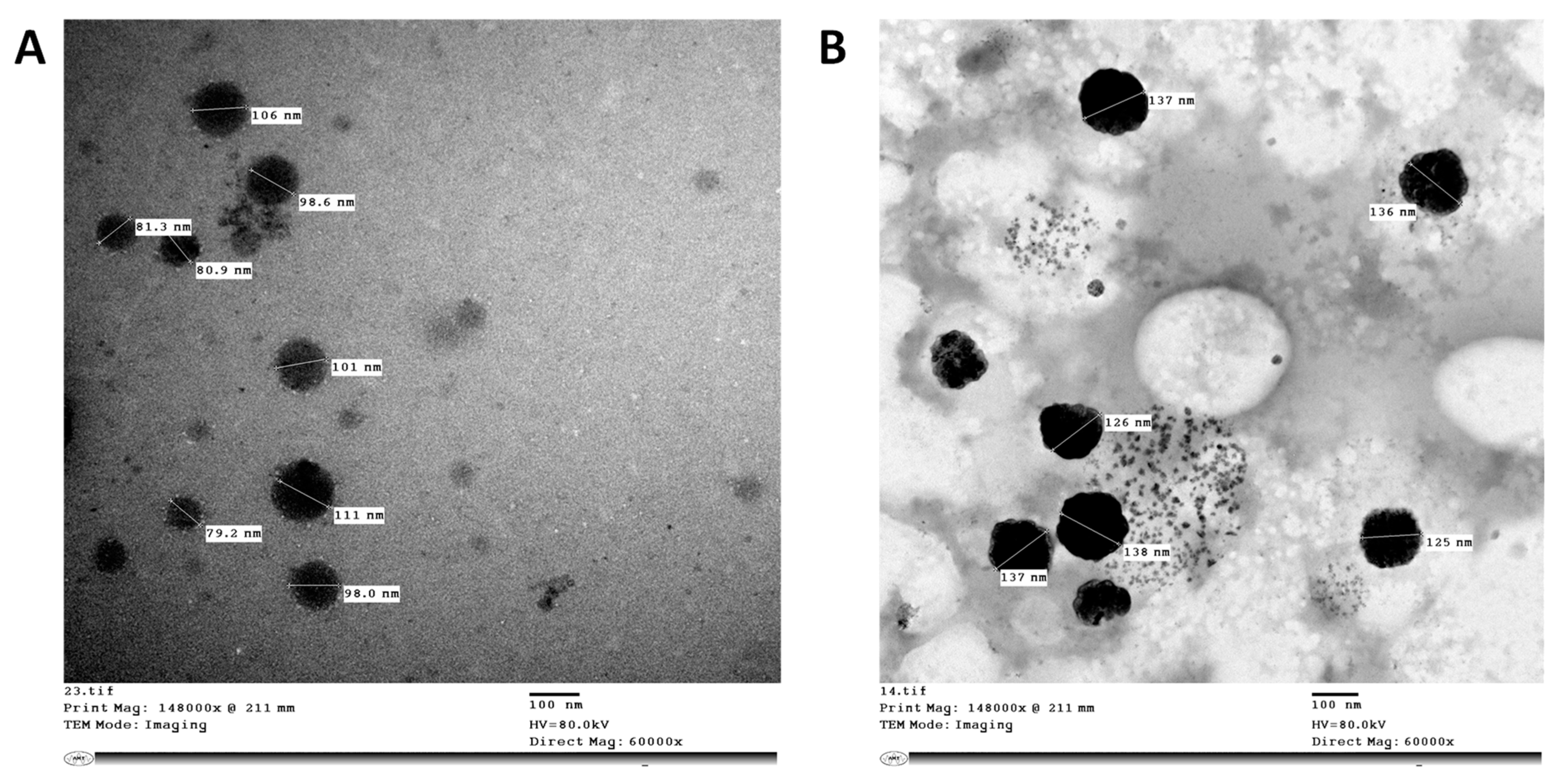 Antibiotics 11 00605 g001 Antibiotics 11 00605 g001