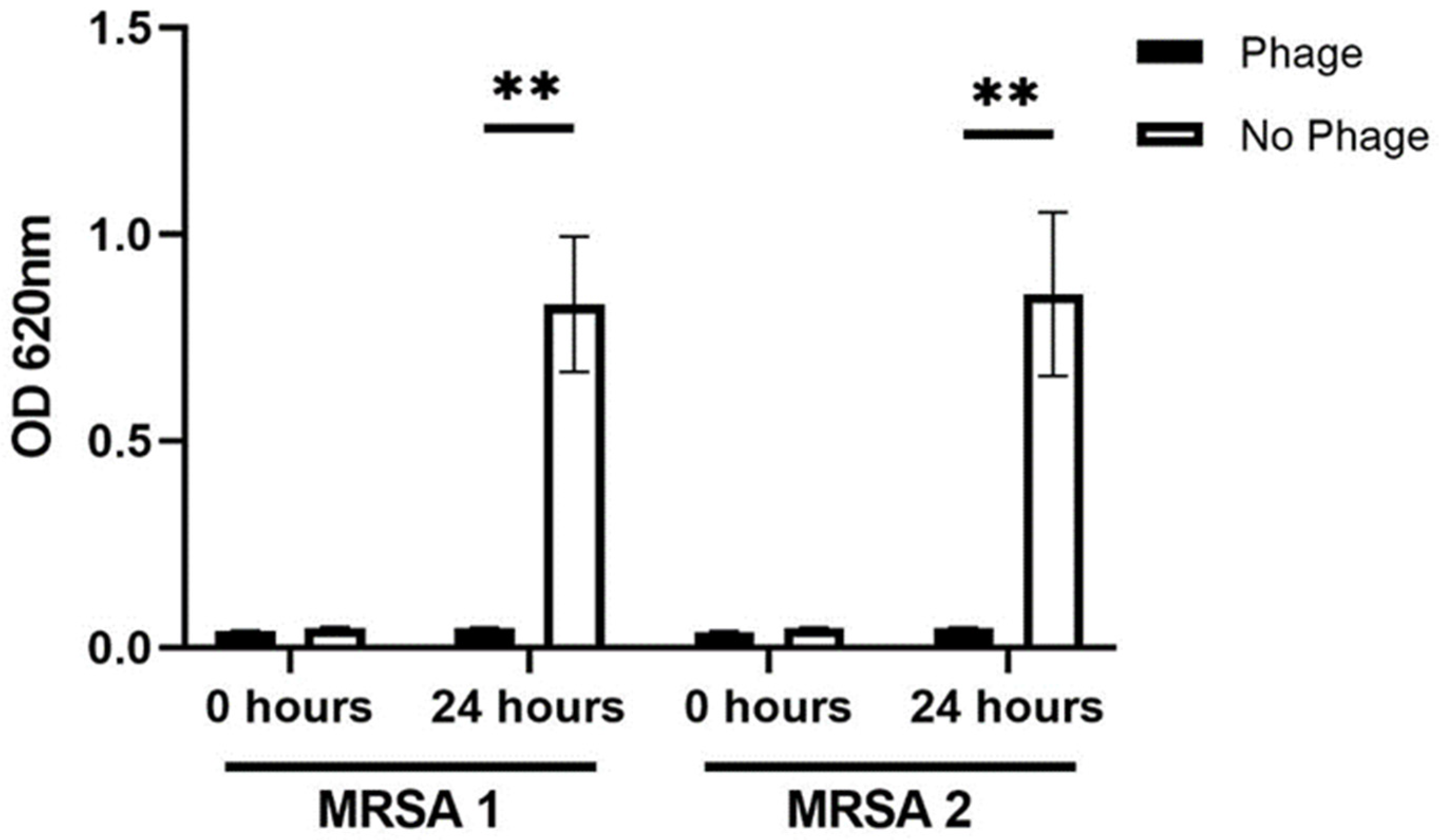 Antibiotics 11 00616 g002 550