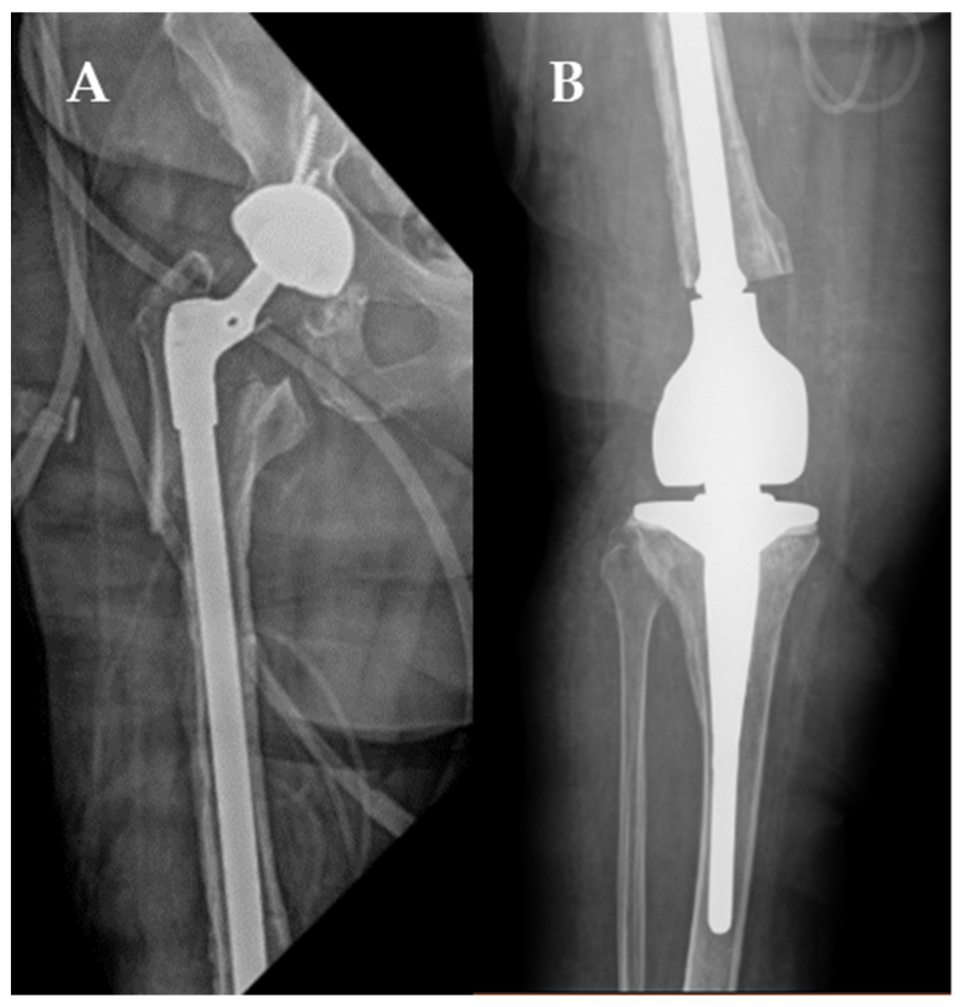 Antibiotics 11 00616 g003 550