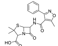 Antibiotics 11 00620 i017