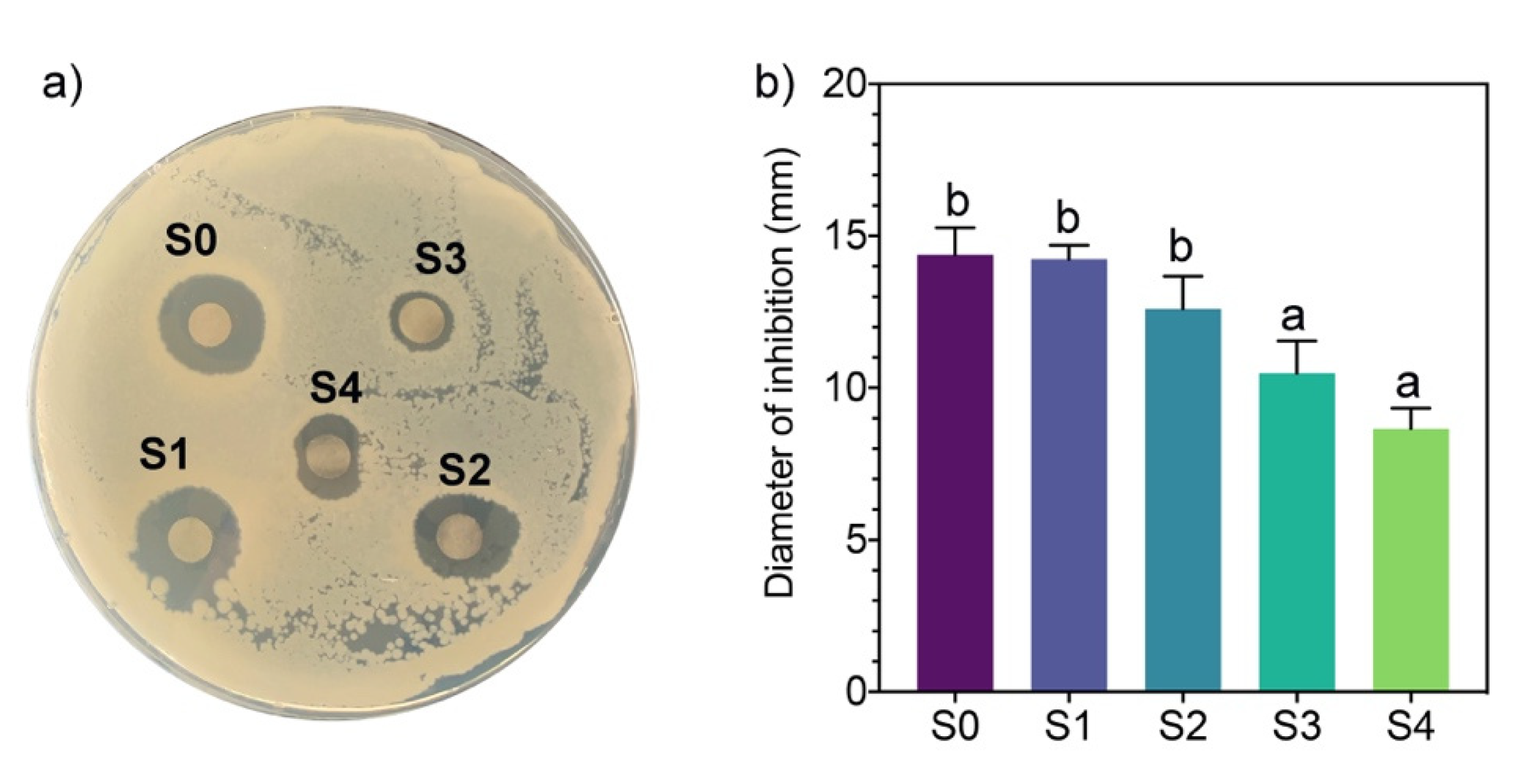 Antibiotics 11 00622 g004
