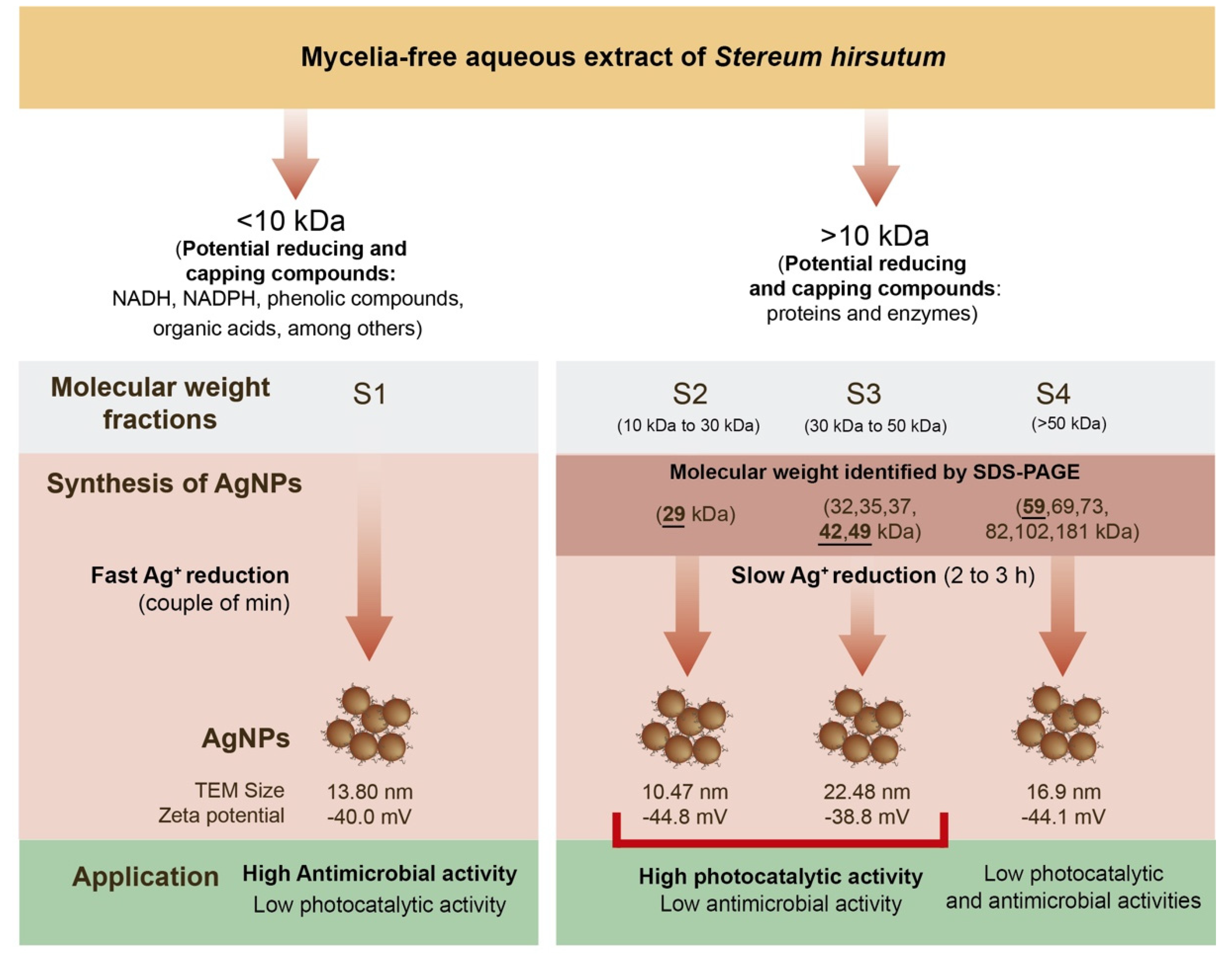 Antibiotics 11 00622 g008