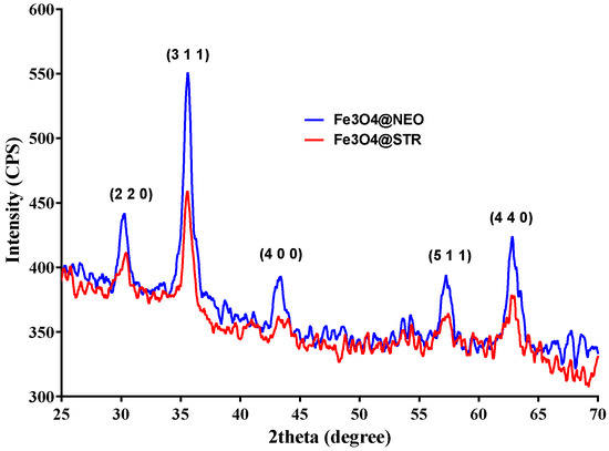 Magnetite Nanoparticles Functionalized with Therapeutic