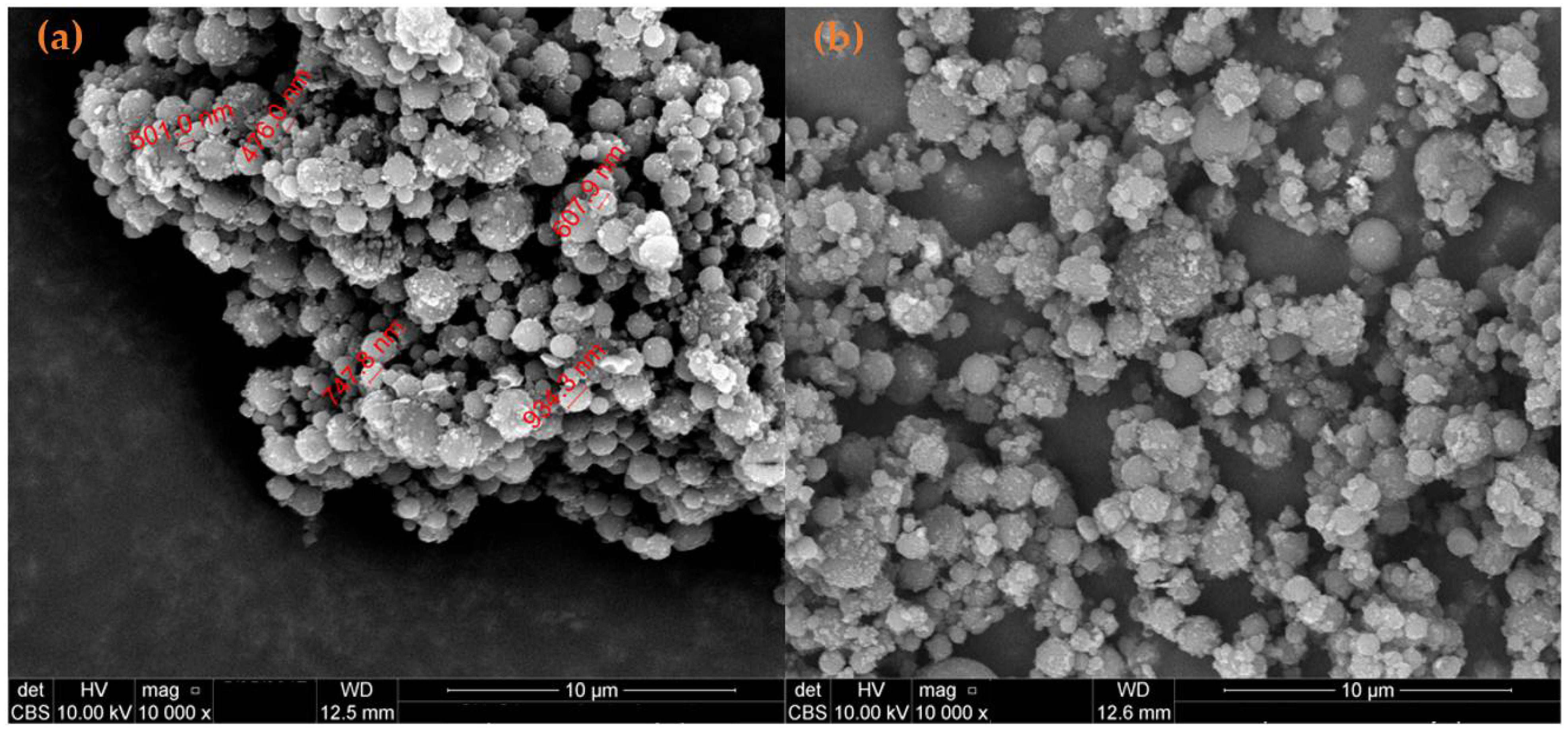 Antibiotics 11 00623 g008