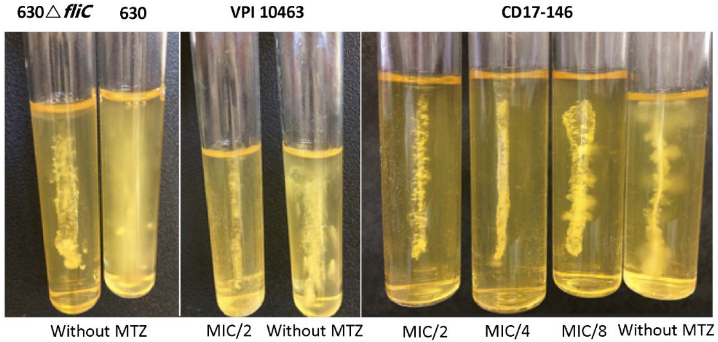 Antibiotics 11 00624 g003