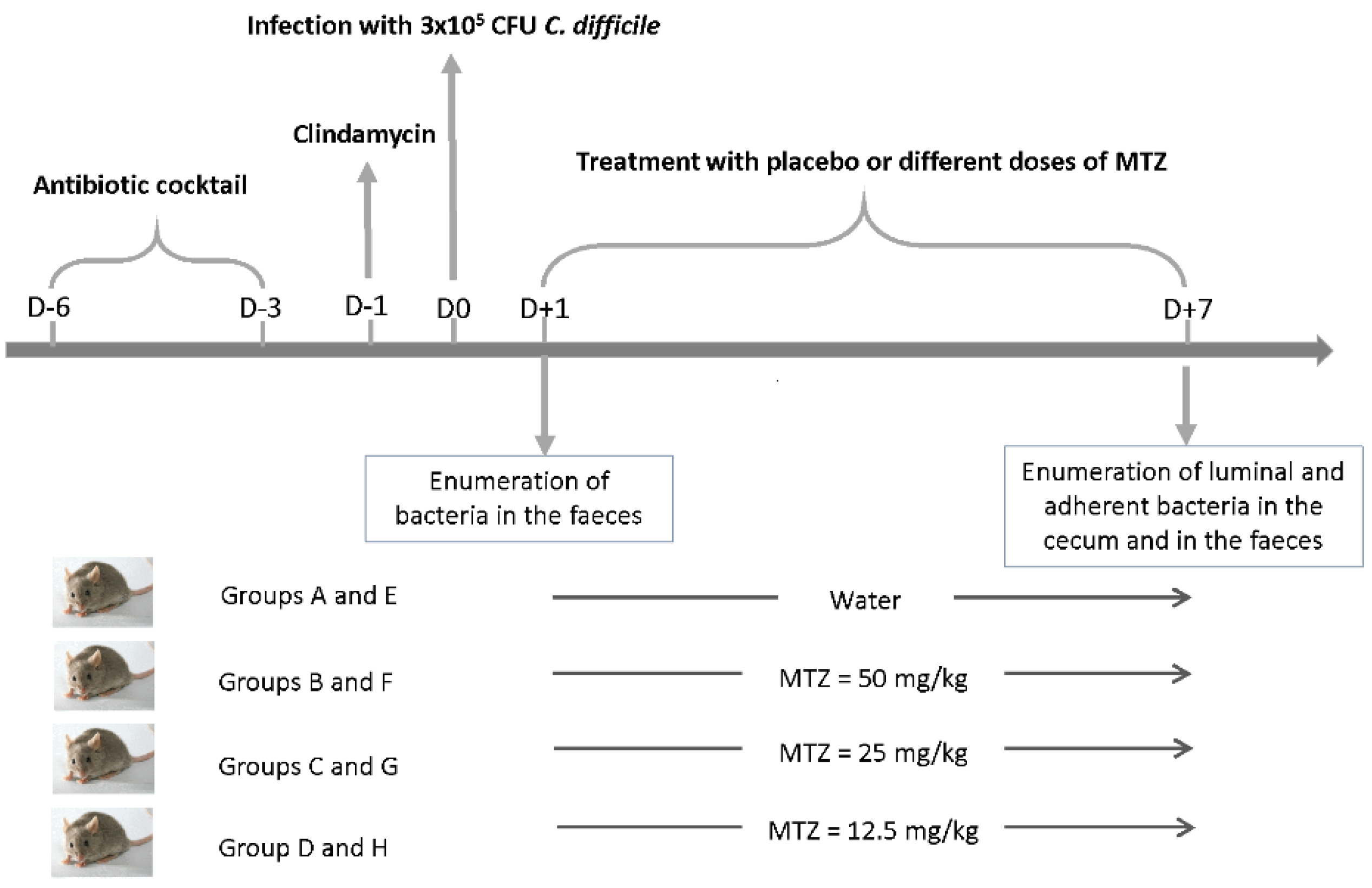 Antibiotics 11 00624 g006