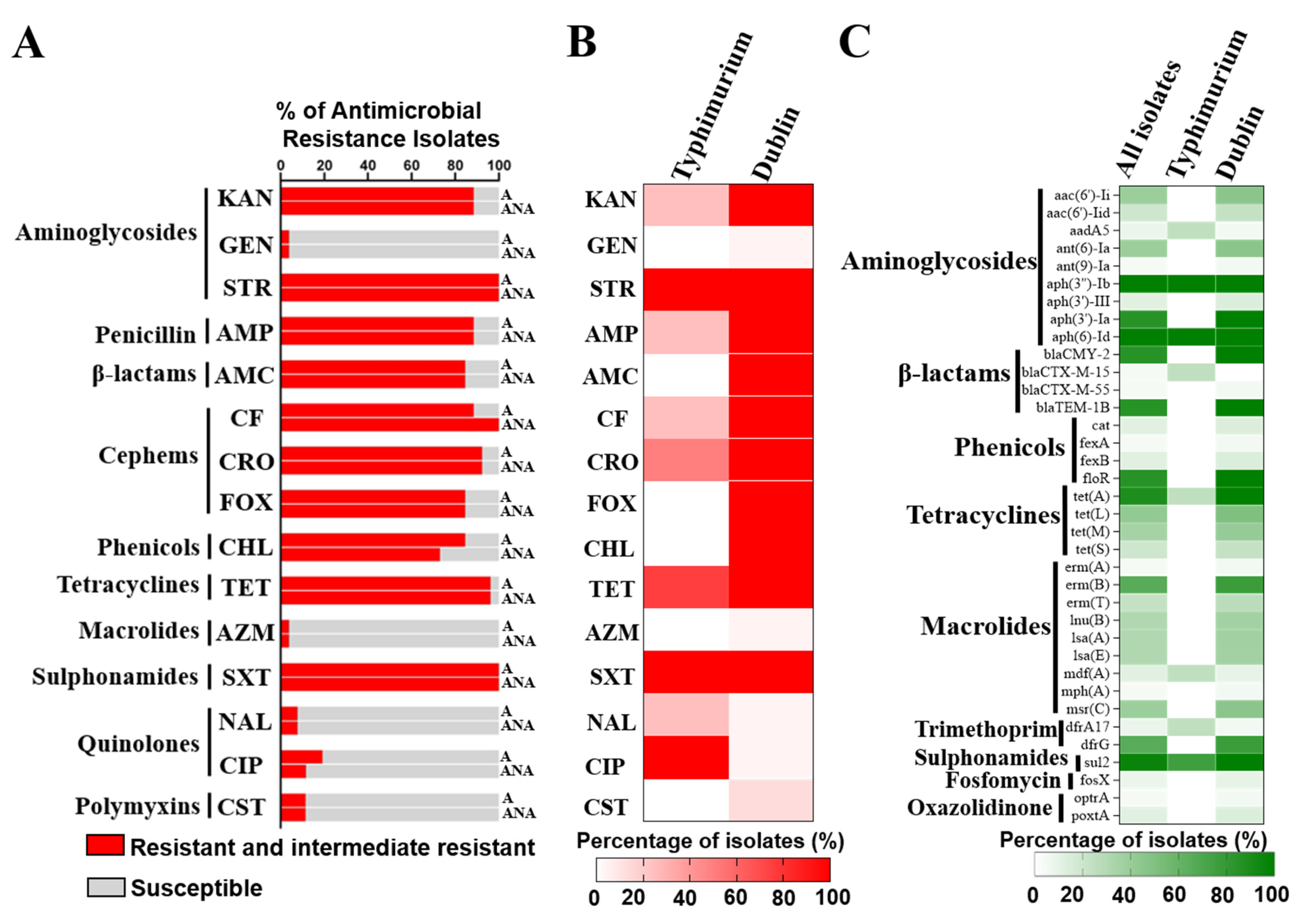 Antibiotics 11 00625 g001 550