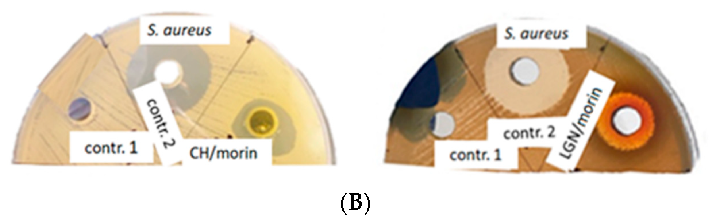 Antibiotics 11 00650 g002b 550