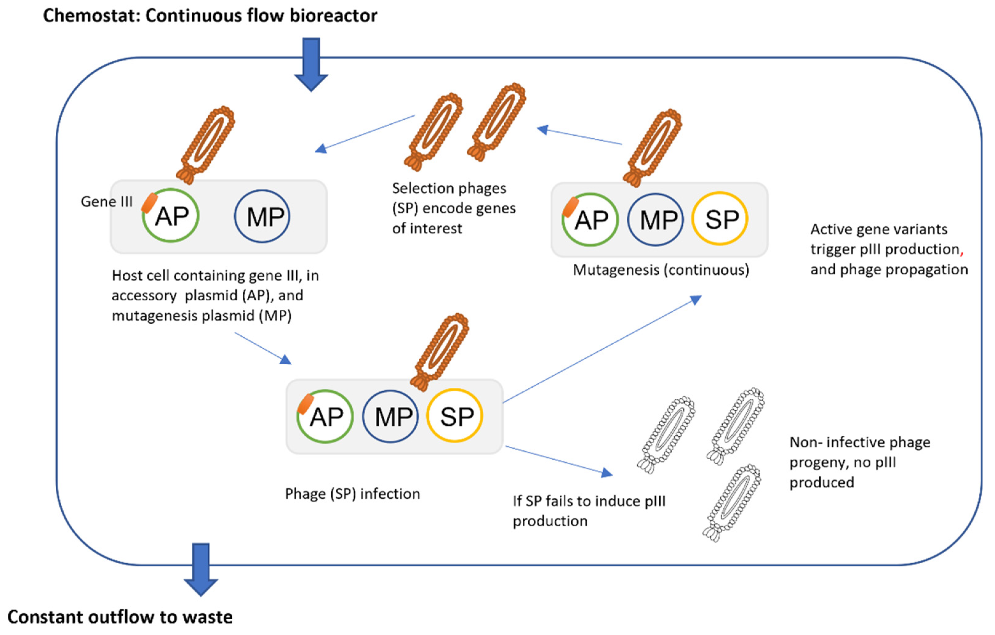 a) Description of process to generate a MPSP/PPAN composite material