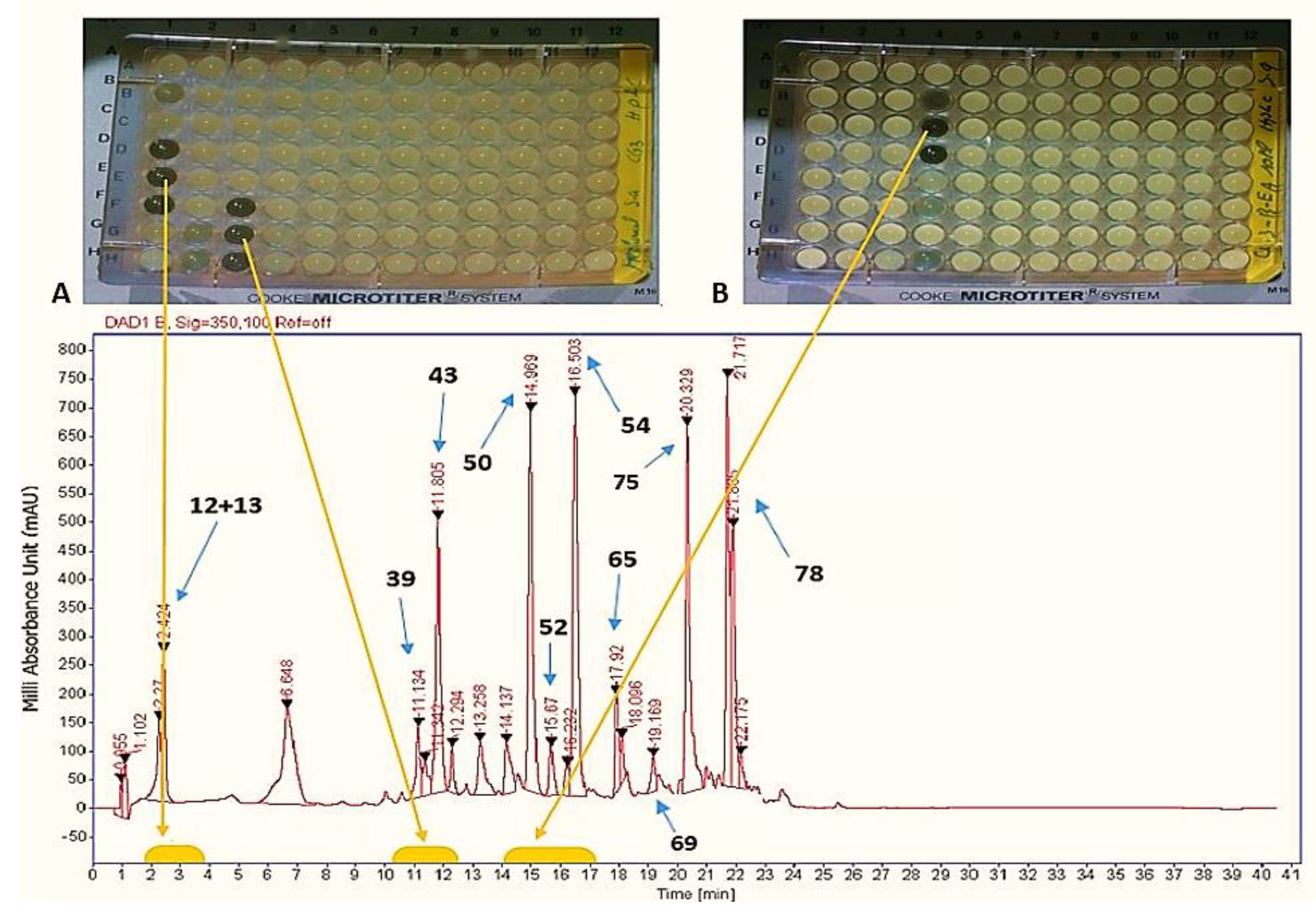 Antibiotics 11 00657 g001