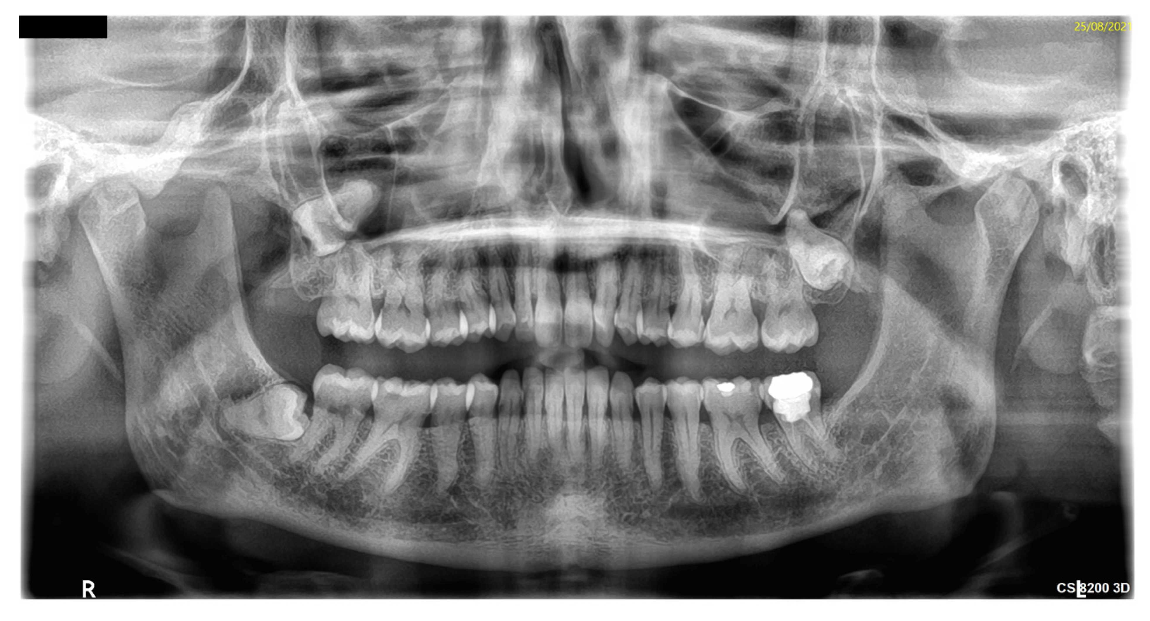 Antibiotics 11 00658 g001 550