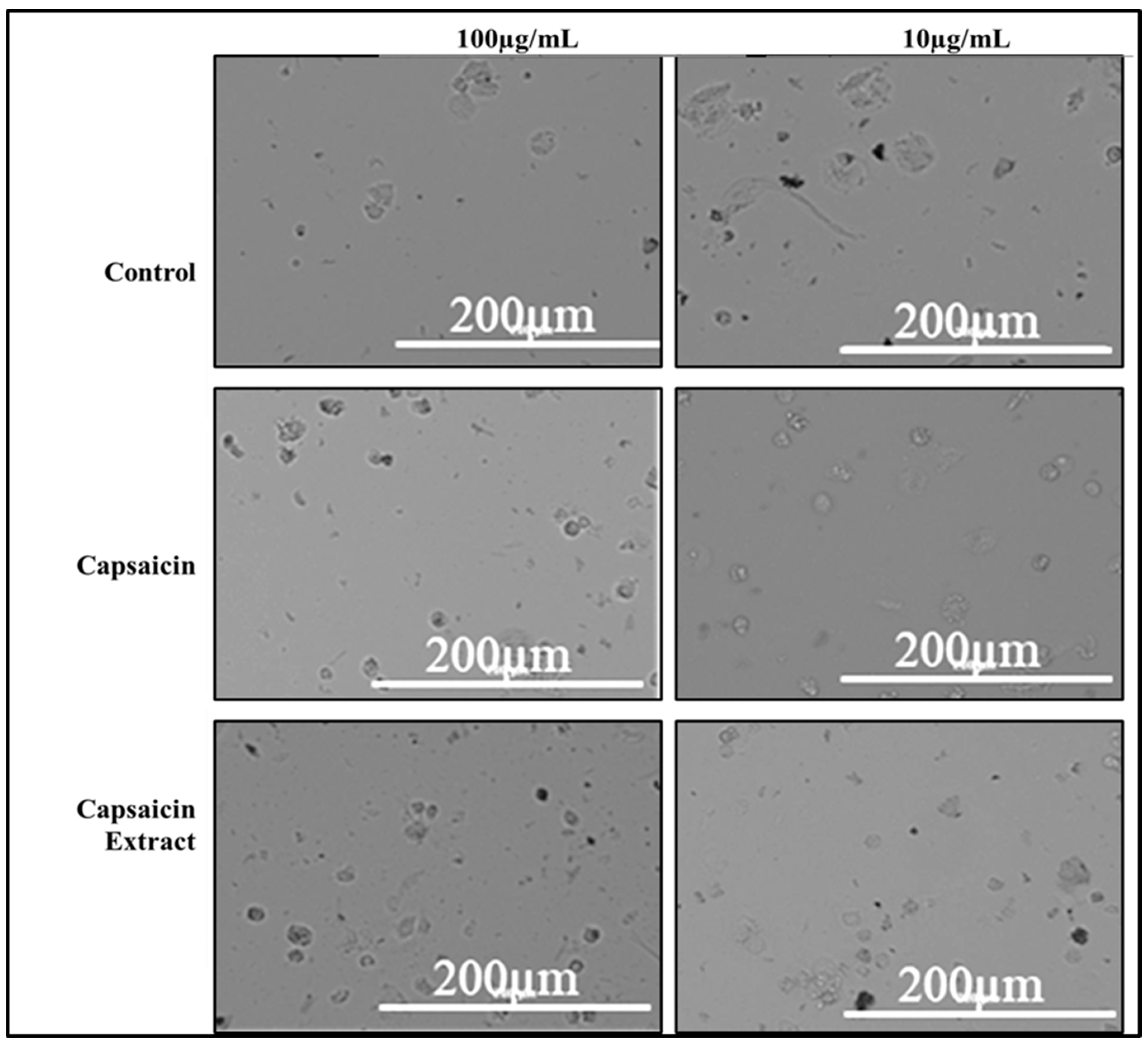 Antibiotics 11 00666 g006