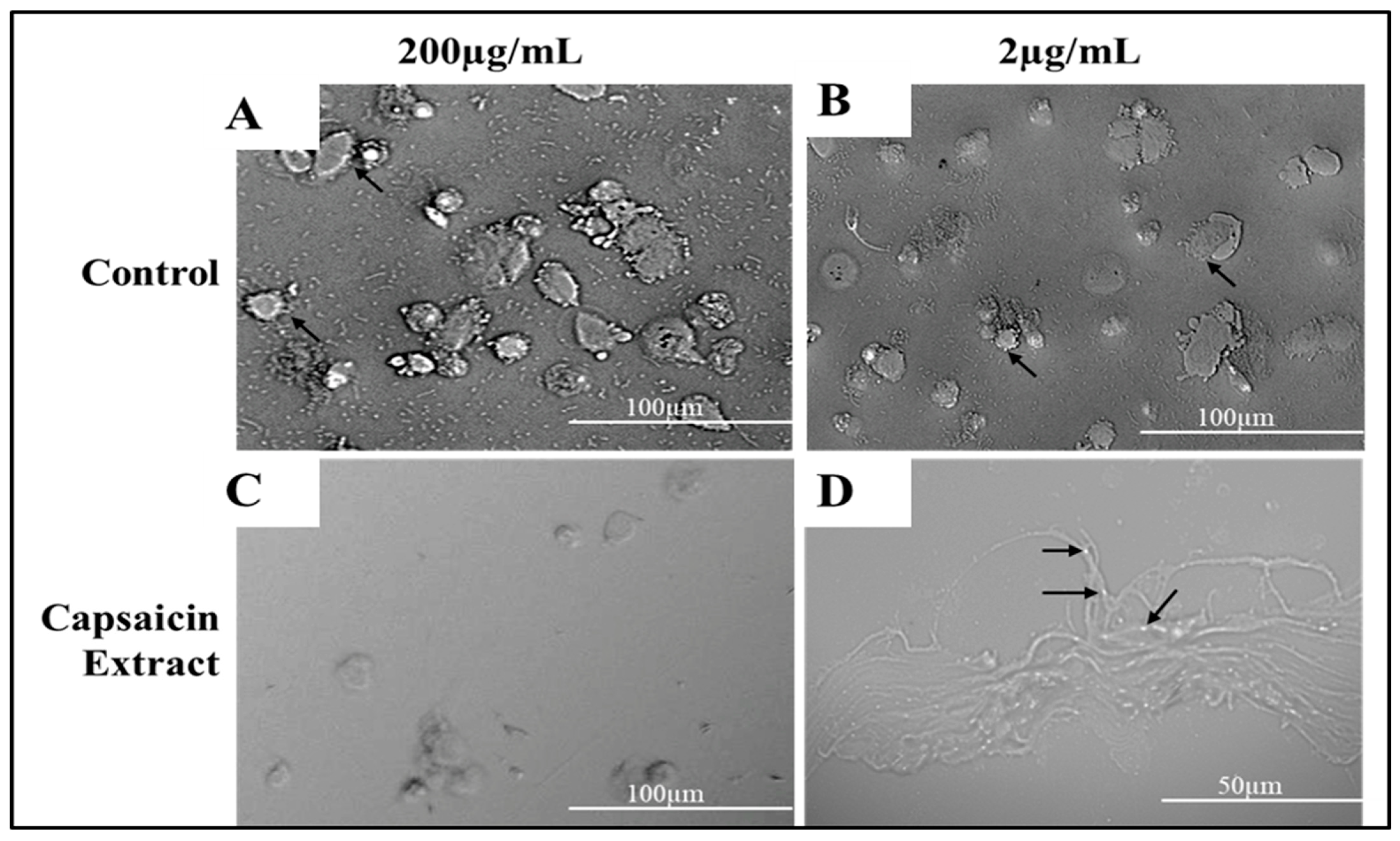 Antibiotics 11 00666 g007