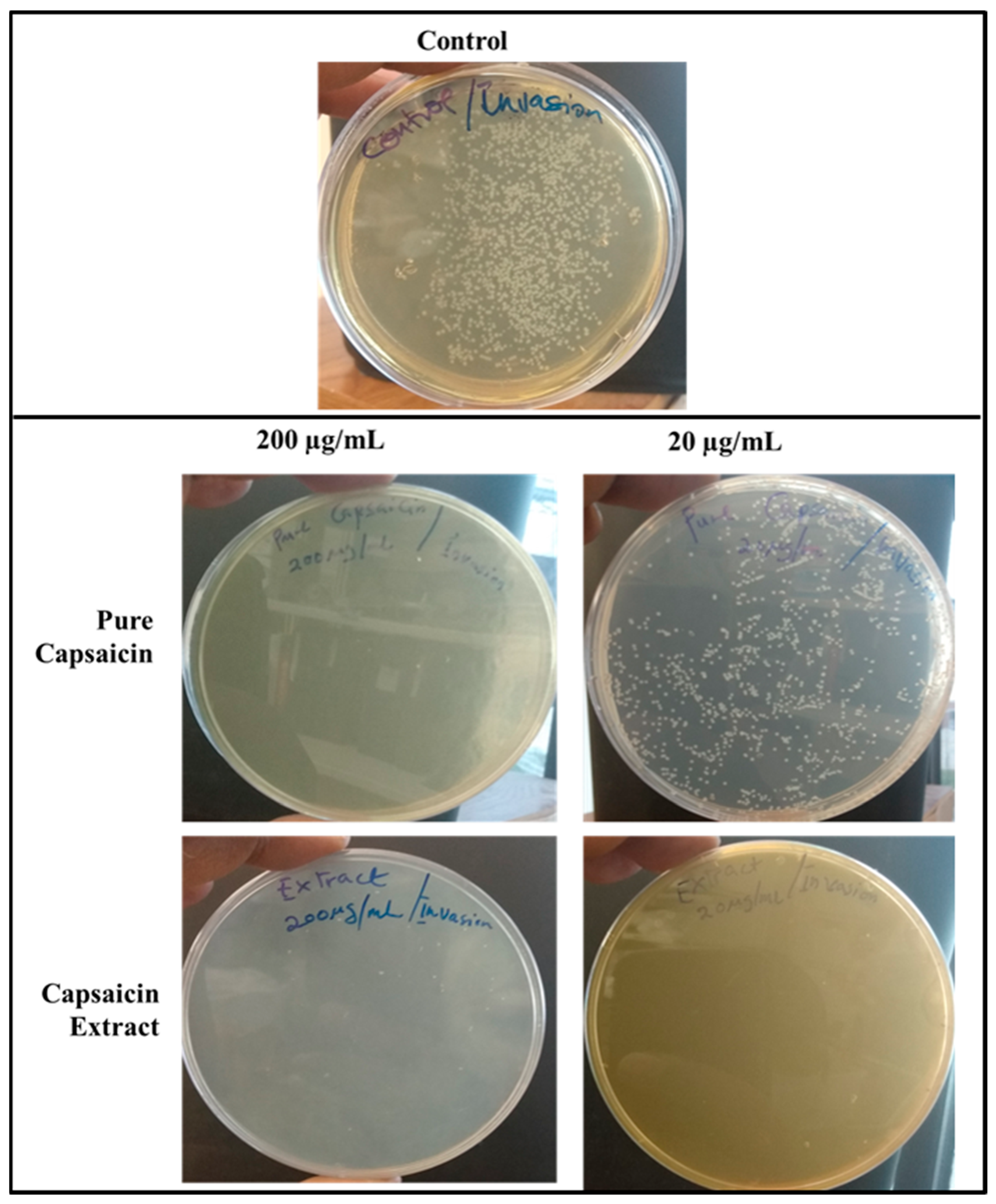 Antibiotics 11 00666 g009