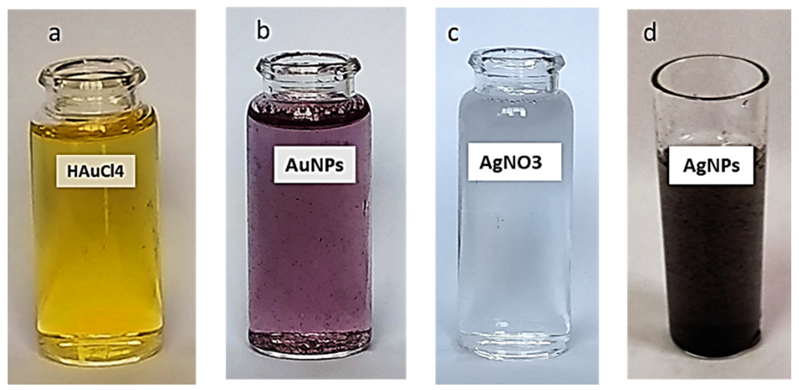 Antibiotics 11 00668 g002
