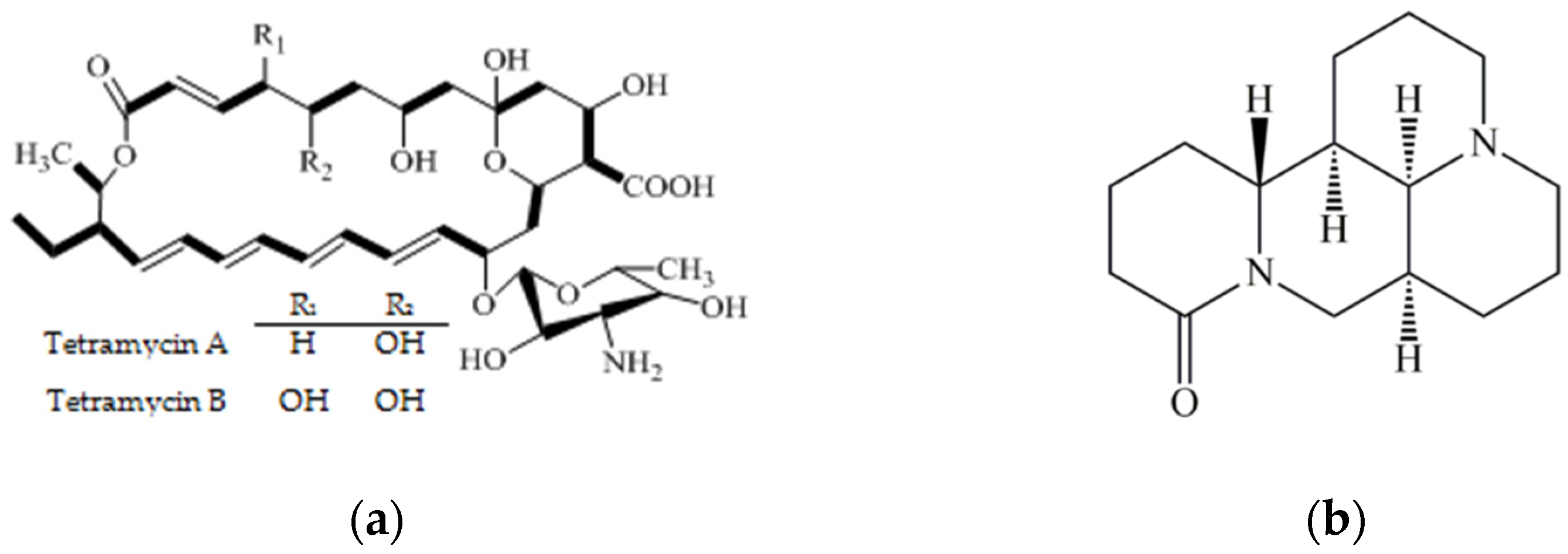 Antibiotics 11 00671 g001 550