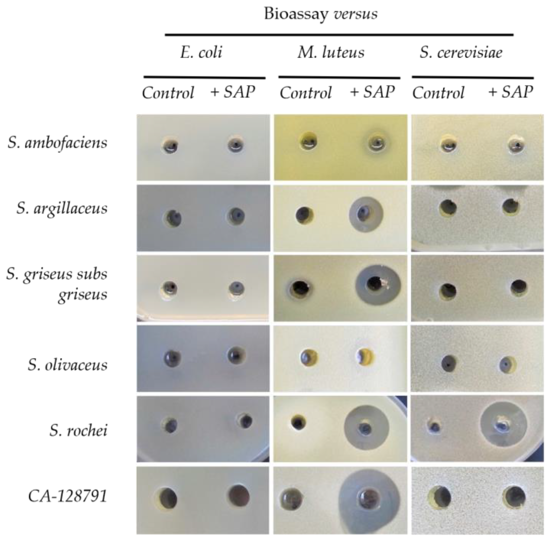 Antibiotics 11 00672 g006