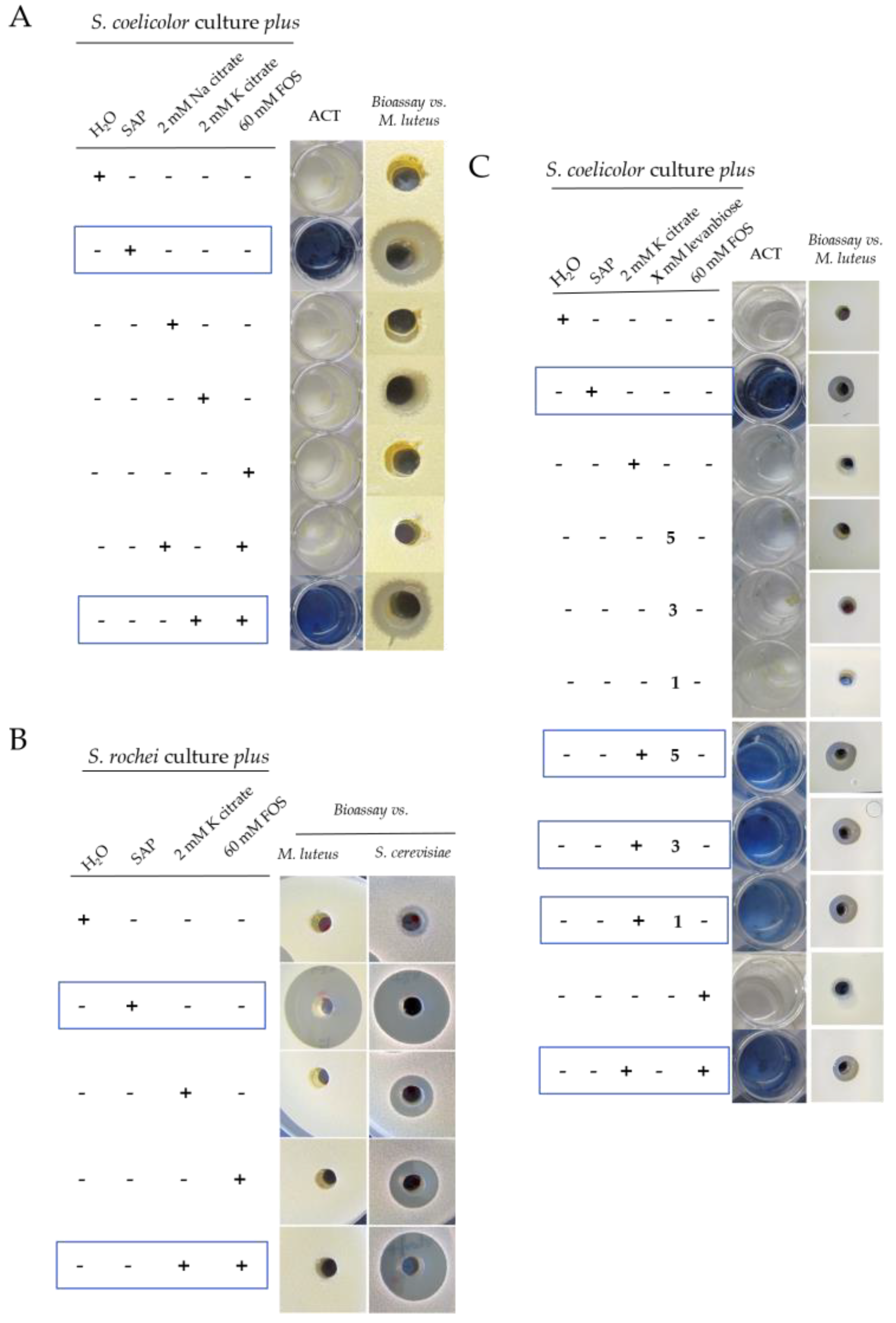 Antibiotics 11 00672 g007