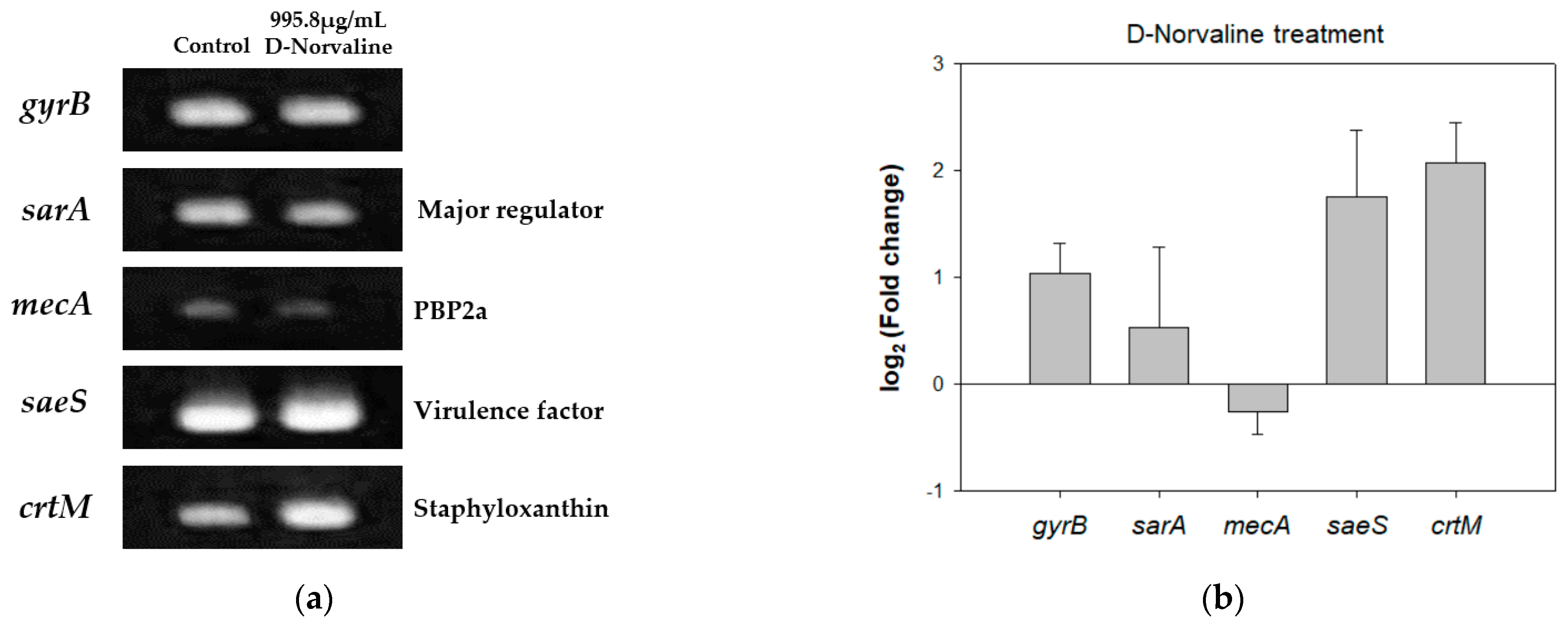 Antibiotics 11 00683 g005