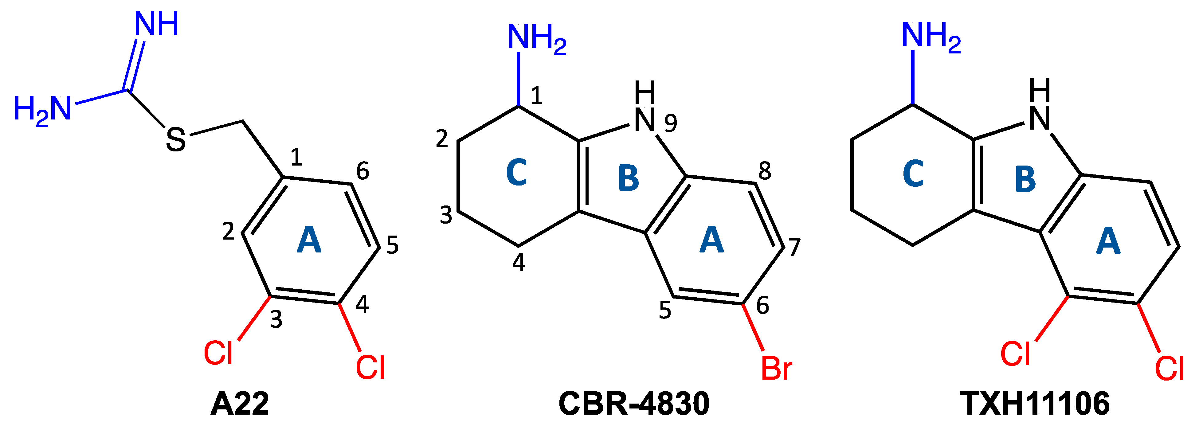 Antibiotics 11 00693 g001 550