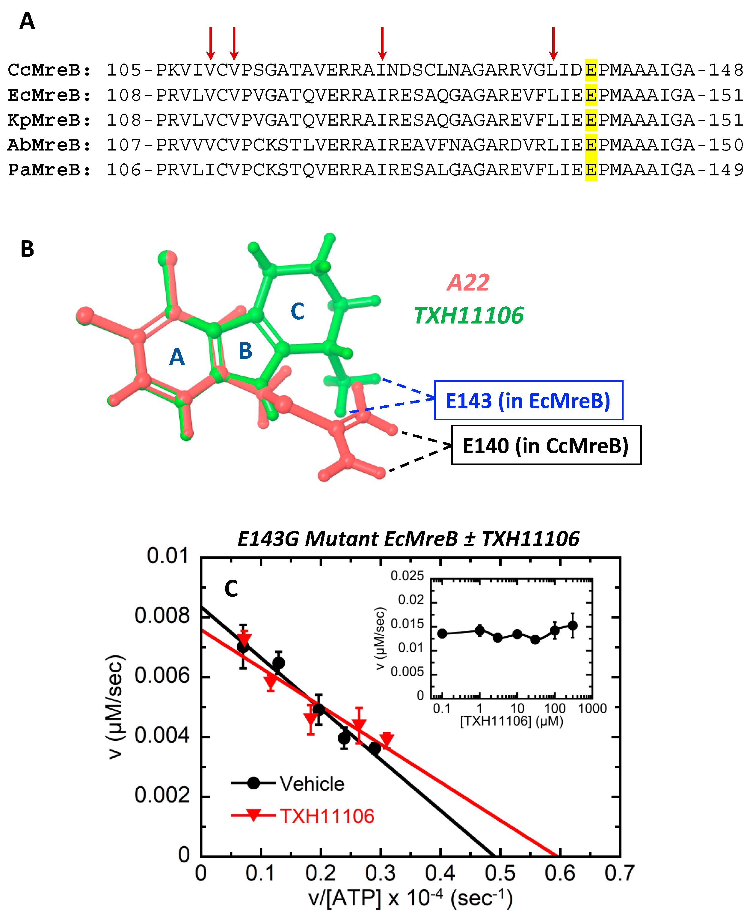 Antibiotics 11 00693 g006 550