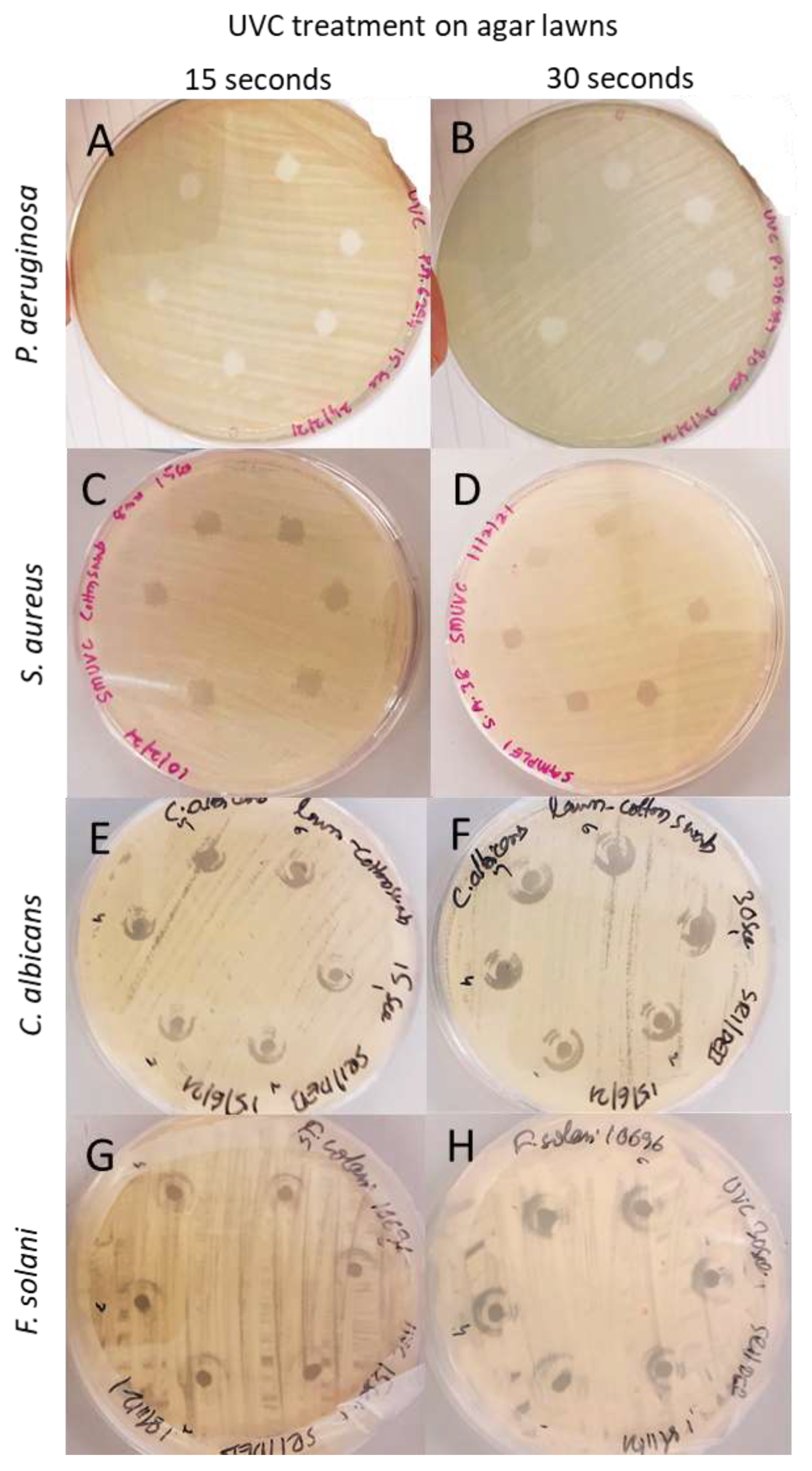 Staphylococcus Epidermidis is Inactivated by Germicidal UV-C Light