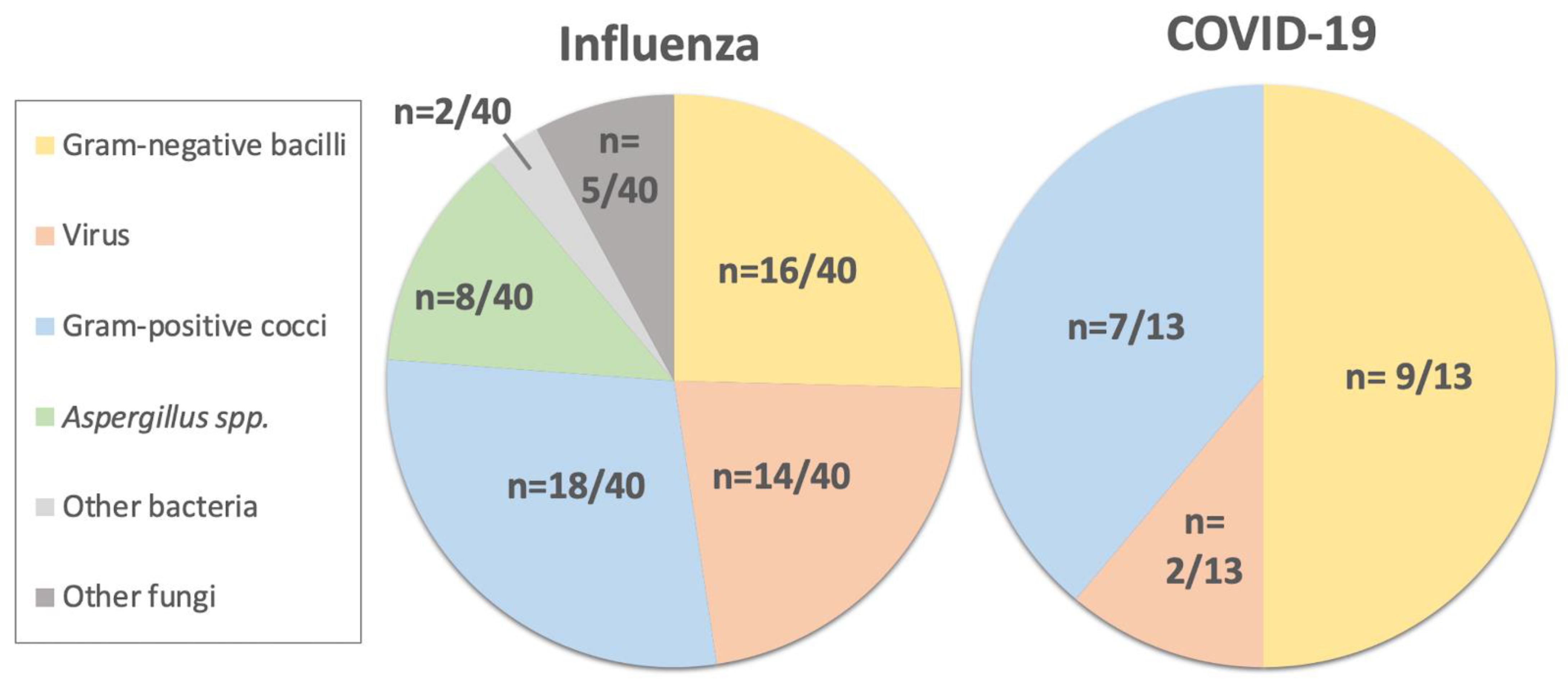Antibiotics 11 00704 g001