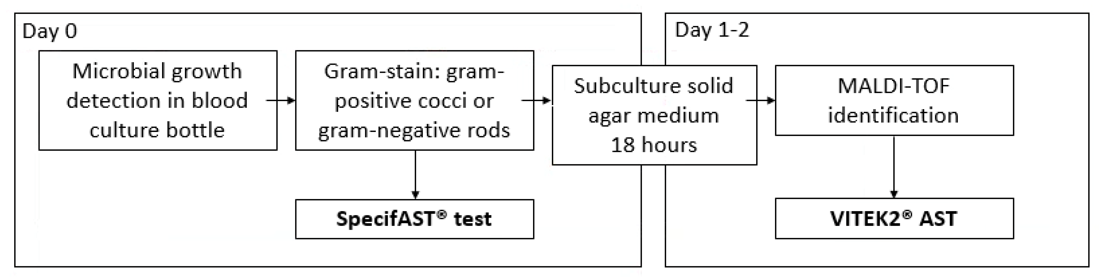 Antibiotics 11 00705 g001 Antibiotics 11 00705 g001