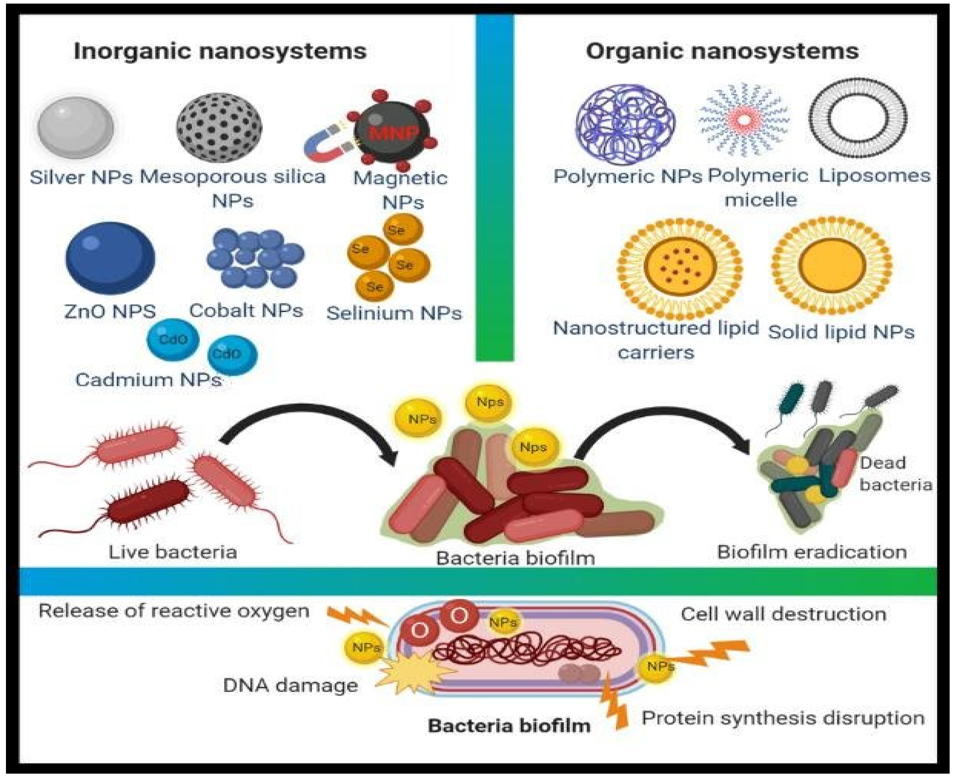 Antibiotics 11 00708 g002