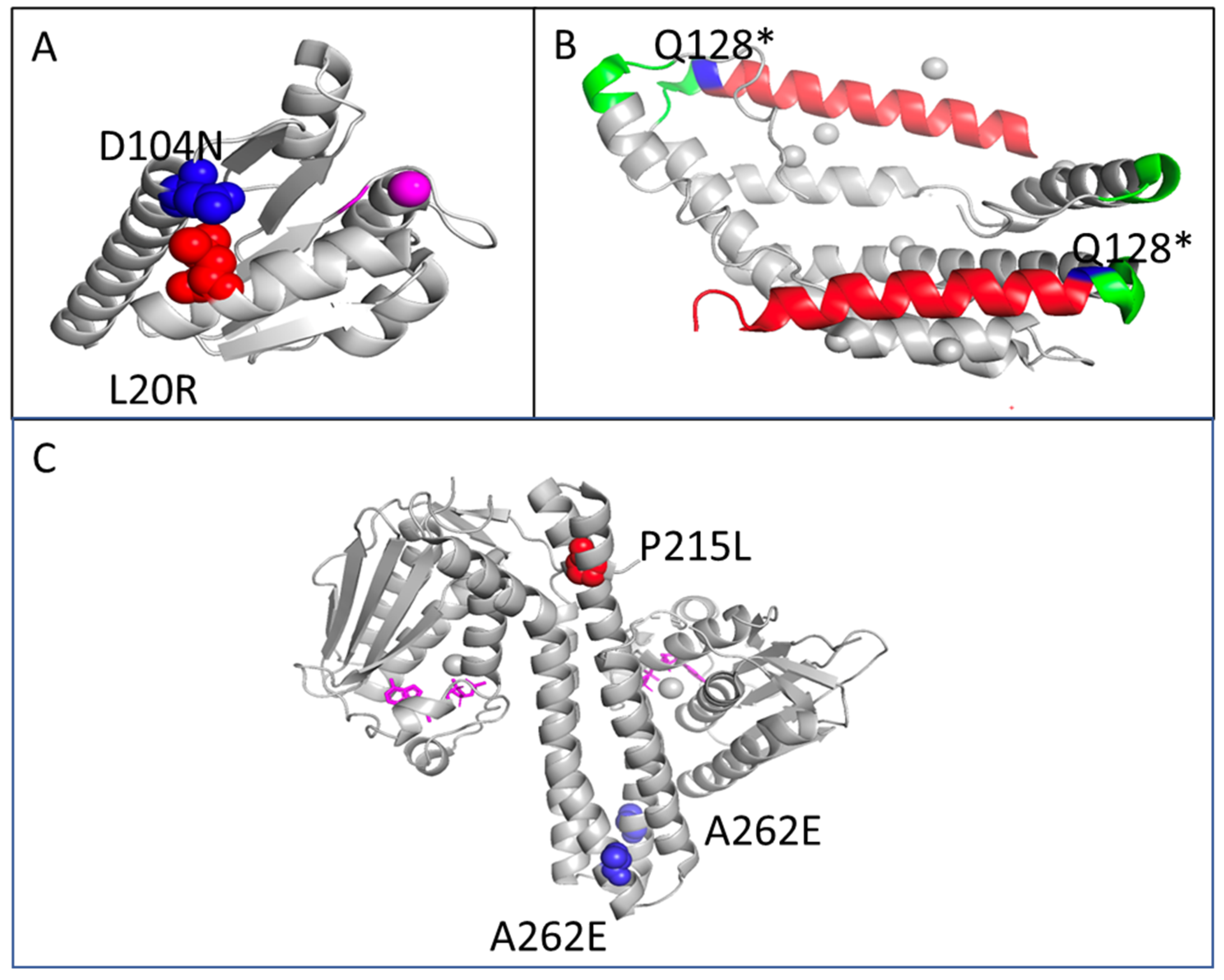 Antibiotics 11 00711 g006 Antibiotics 11 00711 g006