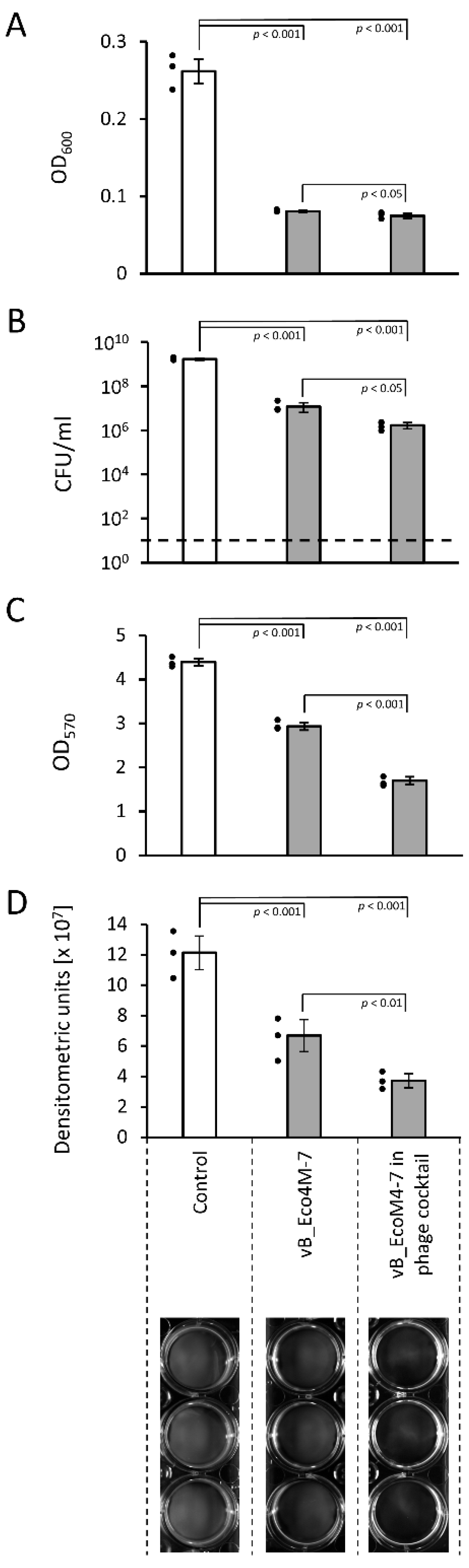 Antibiotics 11 00712 g001 550