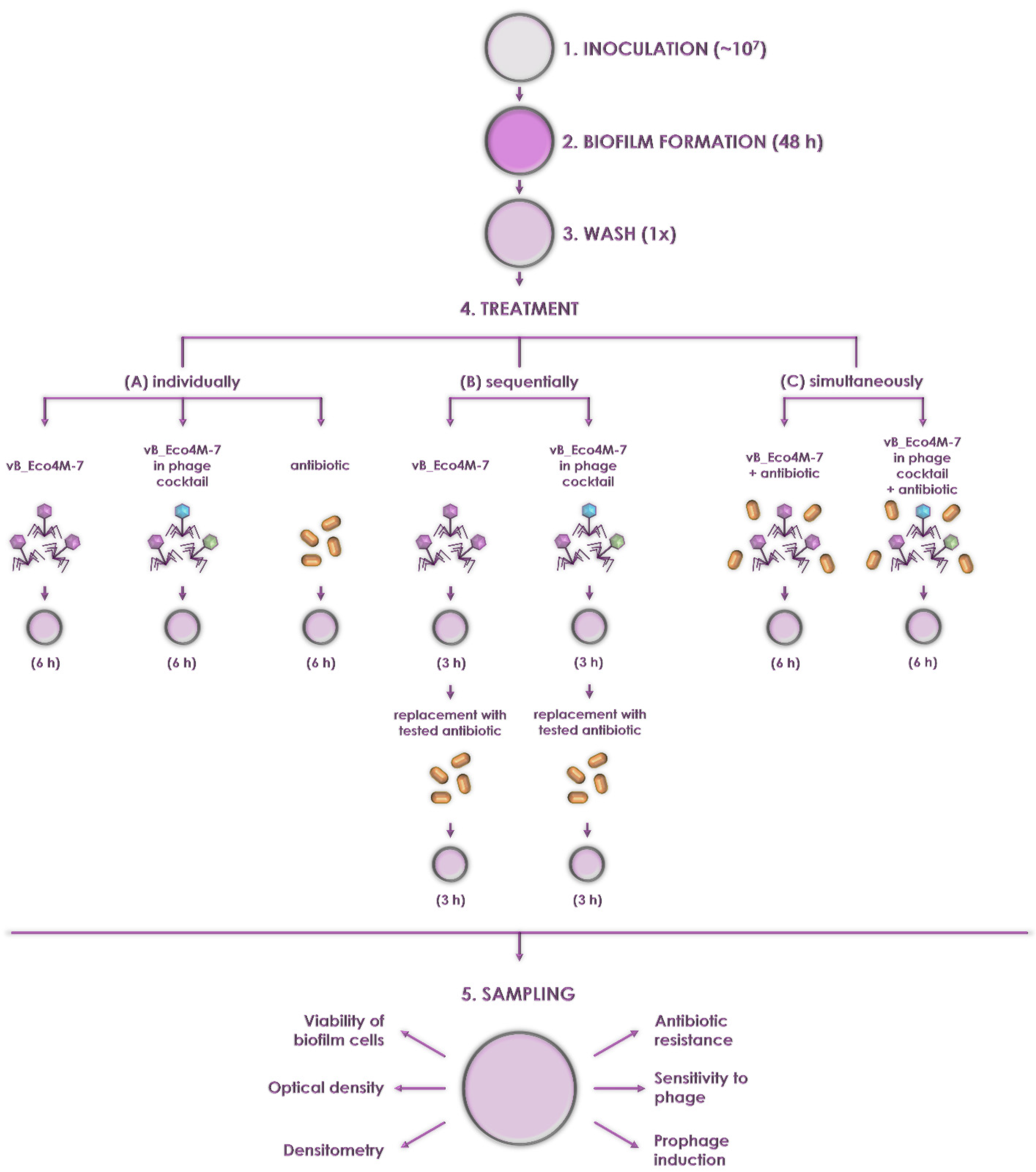 Antibiotics 11 00712 g002 550